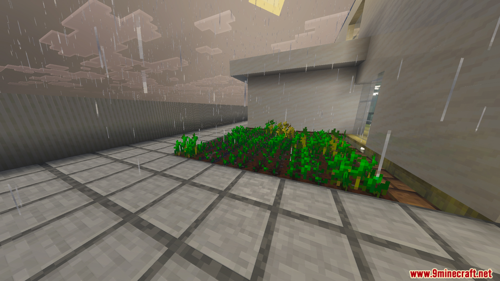 A small vegetable garden in the Survival Modern House 79 Map during rain