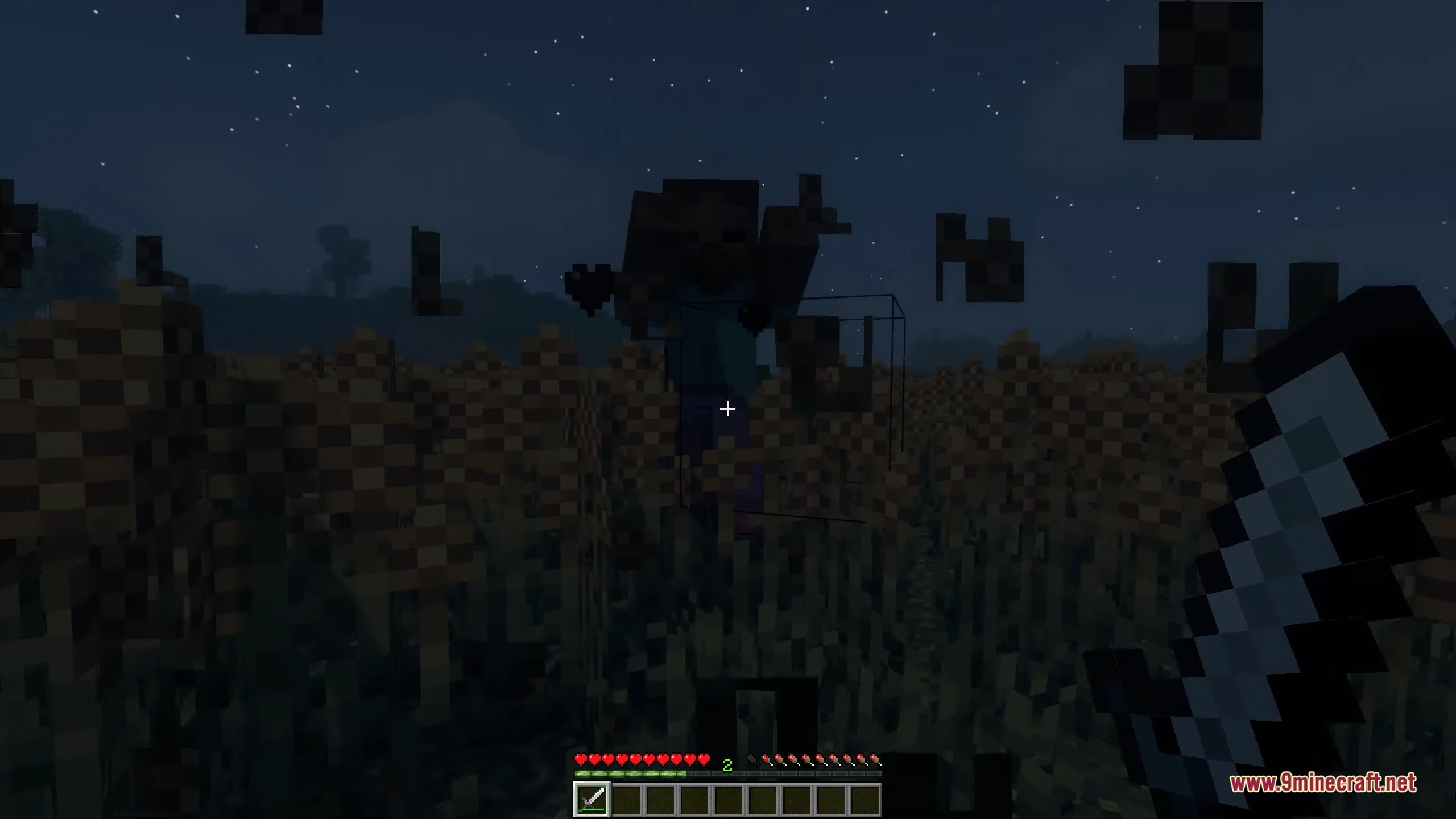 Player holding a sword faces a zombie in a field of tall grass