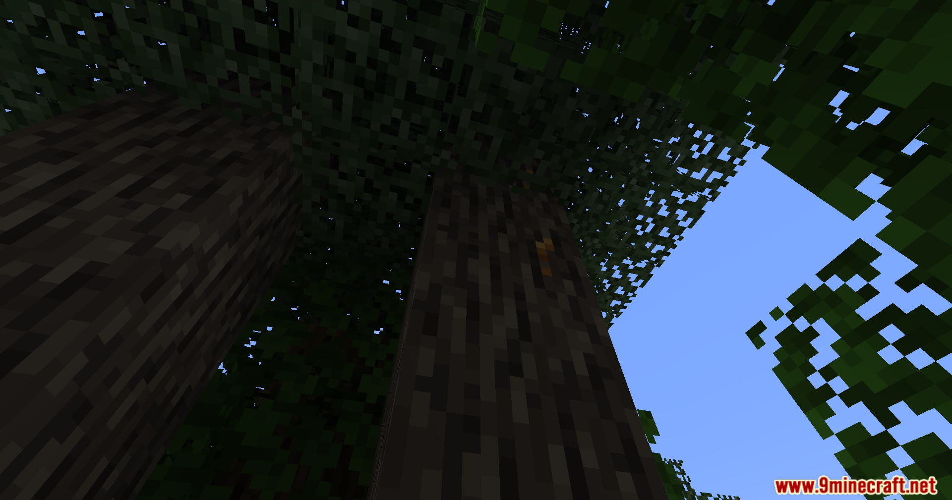 Tech Reborn Mod Screenshot 2 Looking up at a tall tree trunk and green leaves in Minecraft