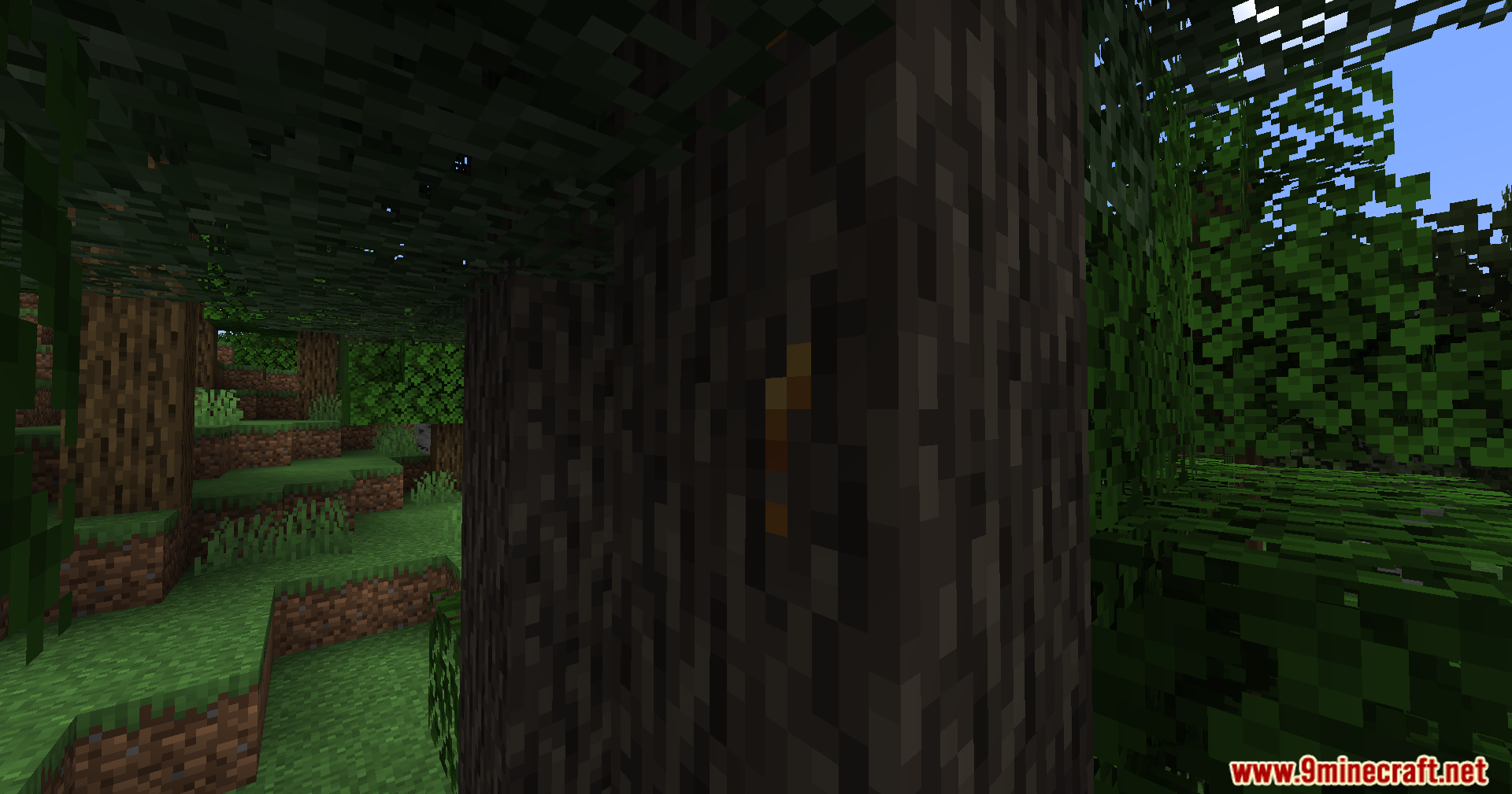 Tech Reborn Mod Screenshot 3 A rubber tree trunk with a sticky orange sap spot in the forest