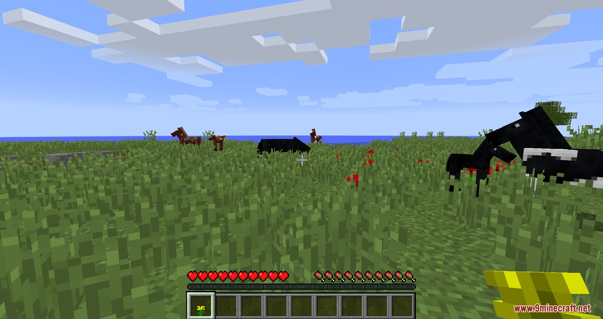 Several horses grazing in a wide grassy meadow filled with red flowers