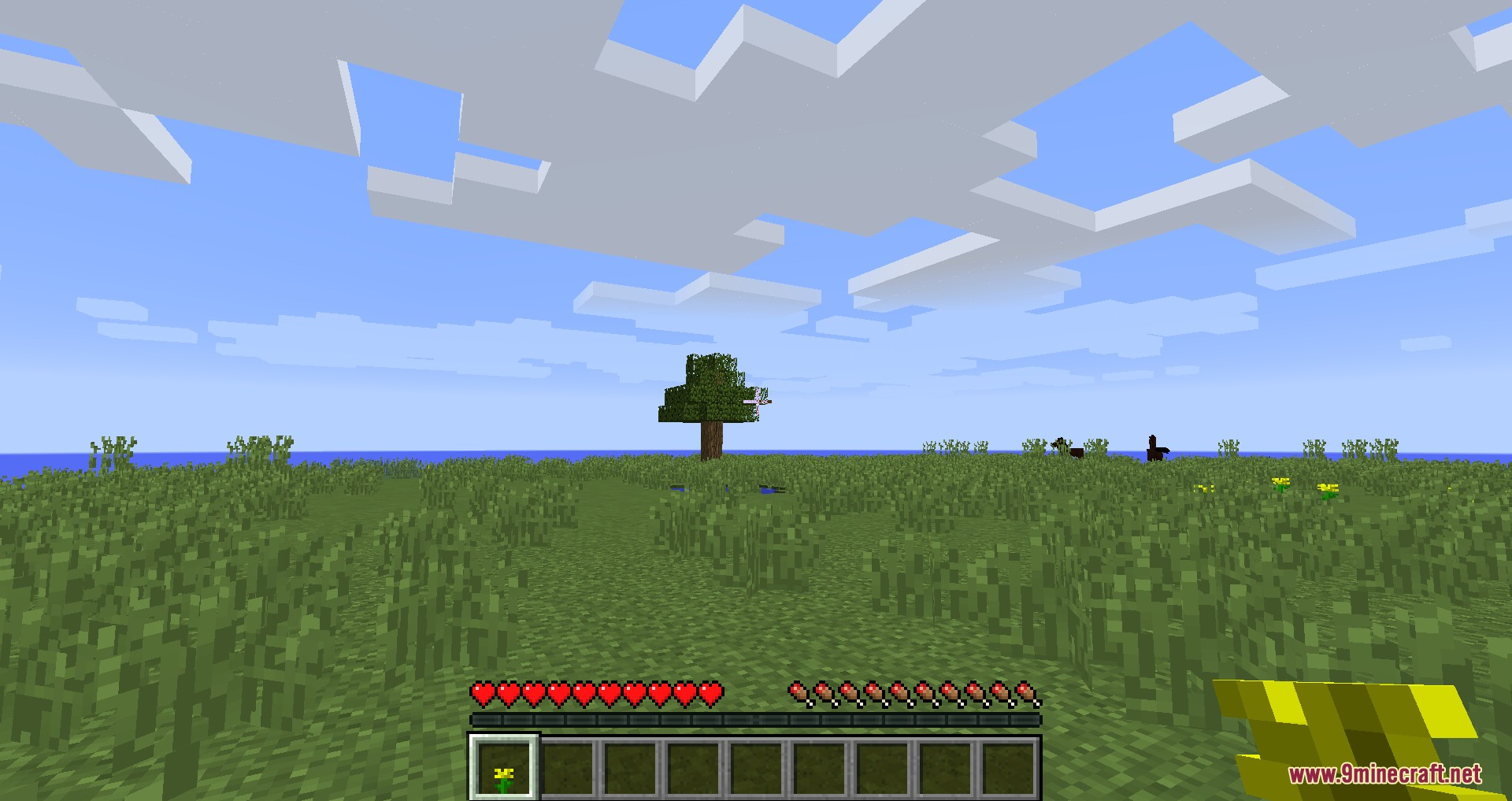 A solitary oak tree standing in the middle of a massive plain