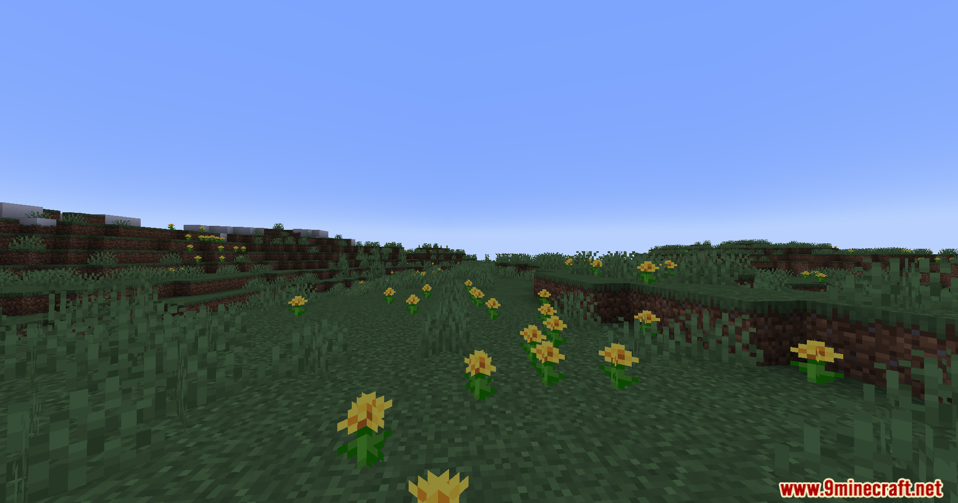 The Nofog Mod Screenshot 2 A clear Minecraft landscape with green grass and yellow flowers without fog