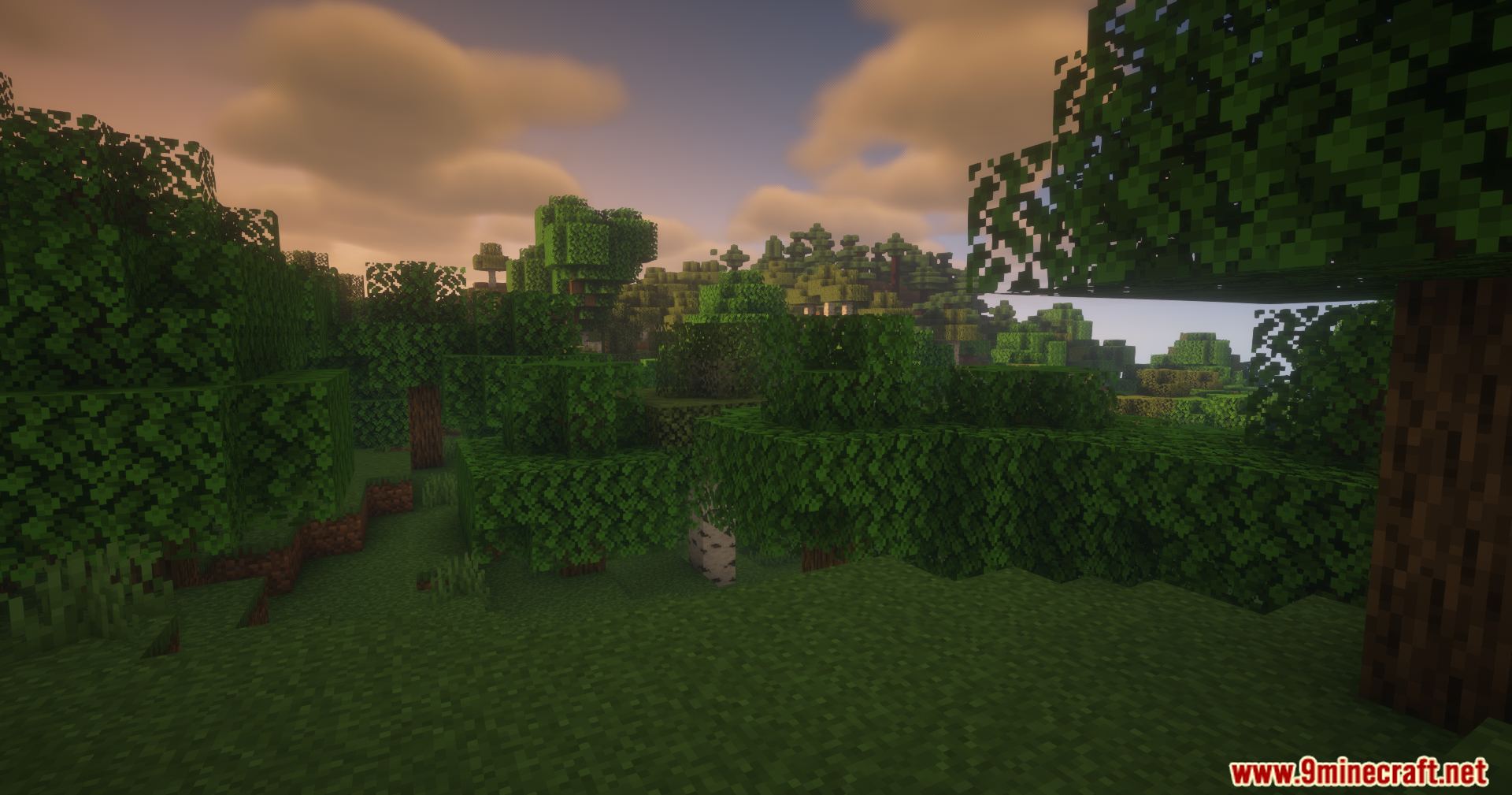Thread Tweak Reforged Mod Screenshot 2 Beautiful Minecraft landscape featuring dense green trees under a warm sunset sky