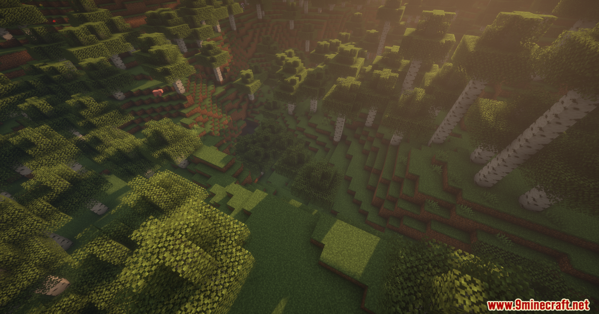 Thread Tweak Reforged Mod Screenshot 6 Overhead view of a birch forest valley with atmospheric shader lighting effects