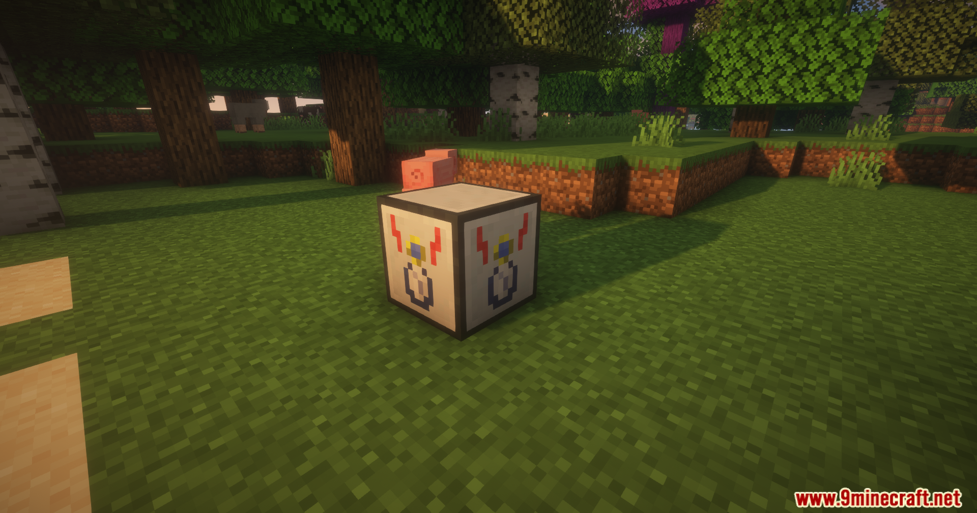 Time in a Bottle Charger Mod Screenshot 2 A white machine block with red lightning bolt icons on the grass