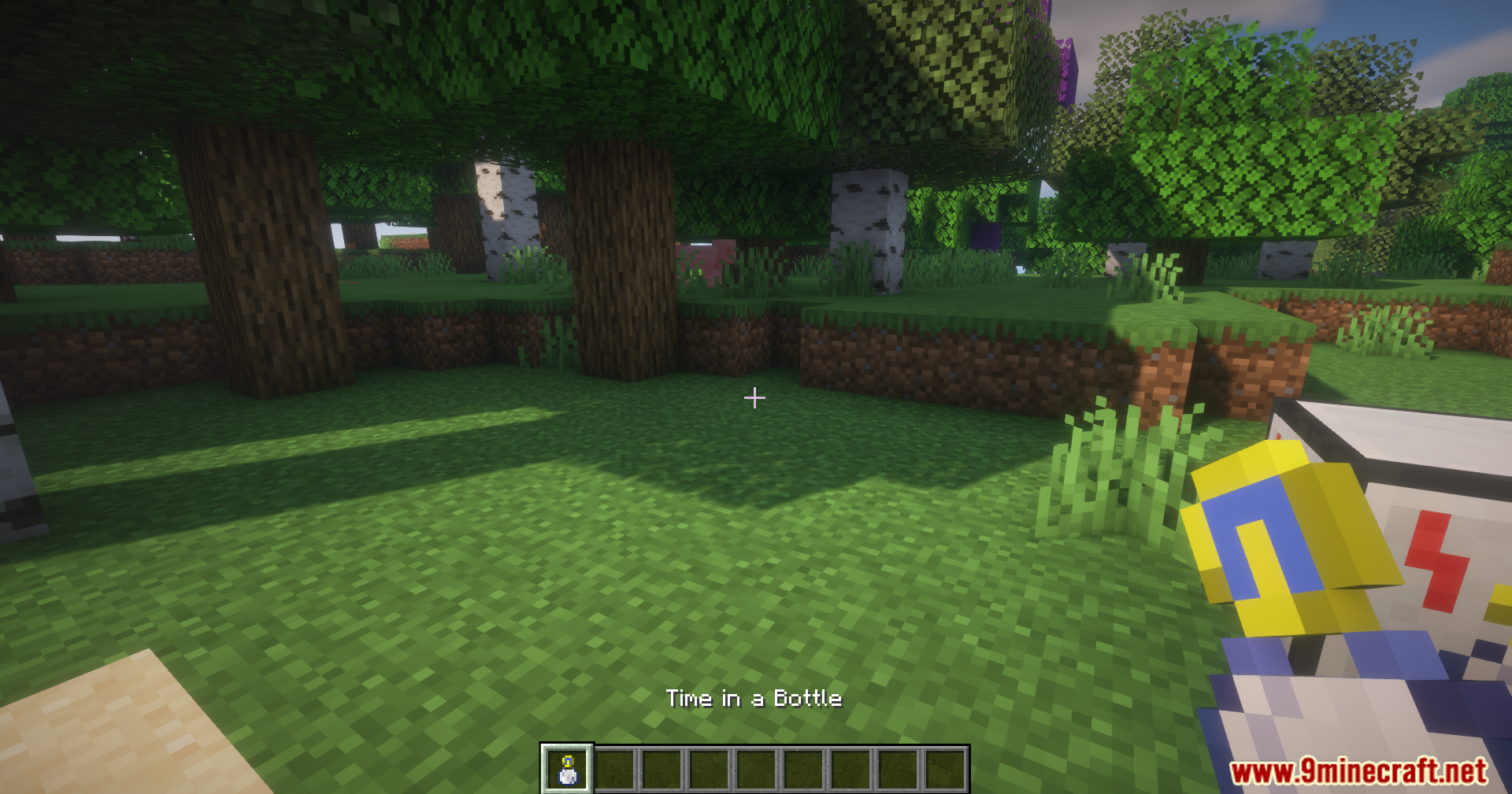 Time in a Bottle Charger Mod Screenshot 4 Player holding a Time in a Bottle item next to the charger block