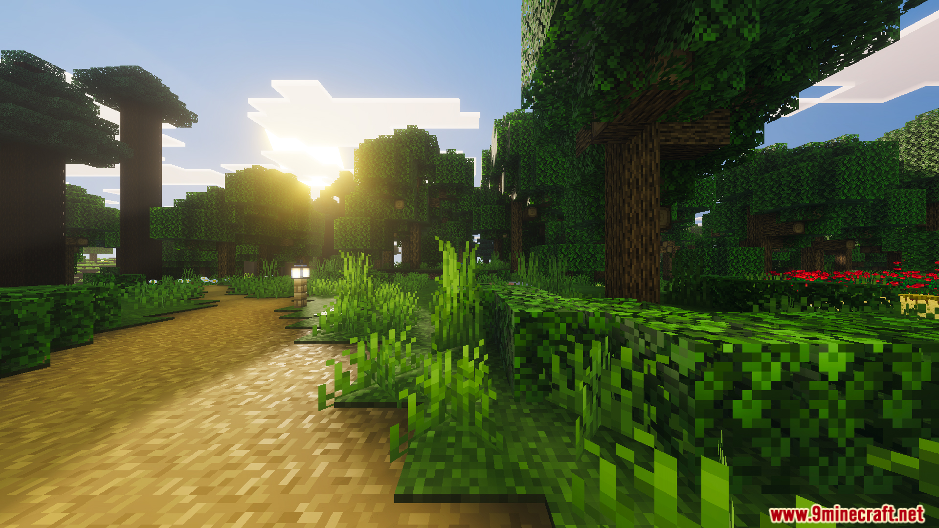Sunlight shines over a dirt path through a lively green landscape with trees