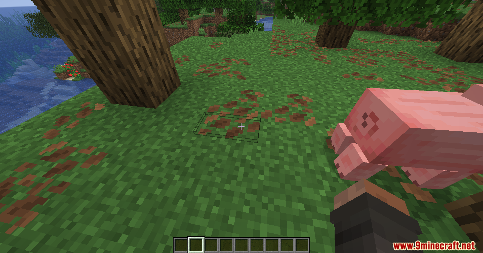 Minecraft player targeting a block on the ground with a black selection box