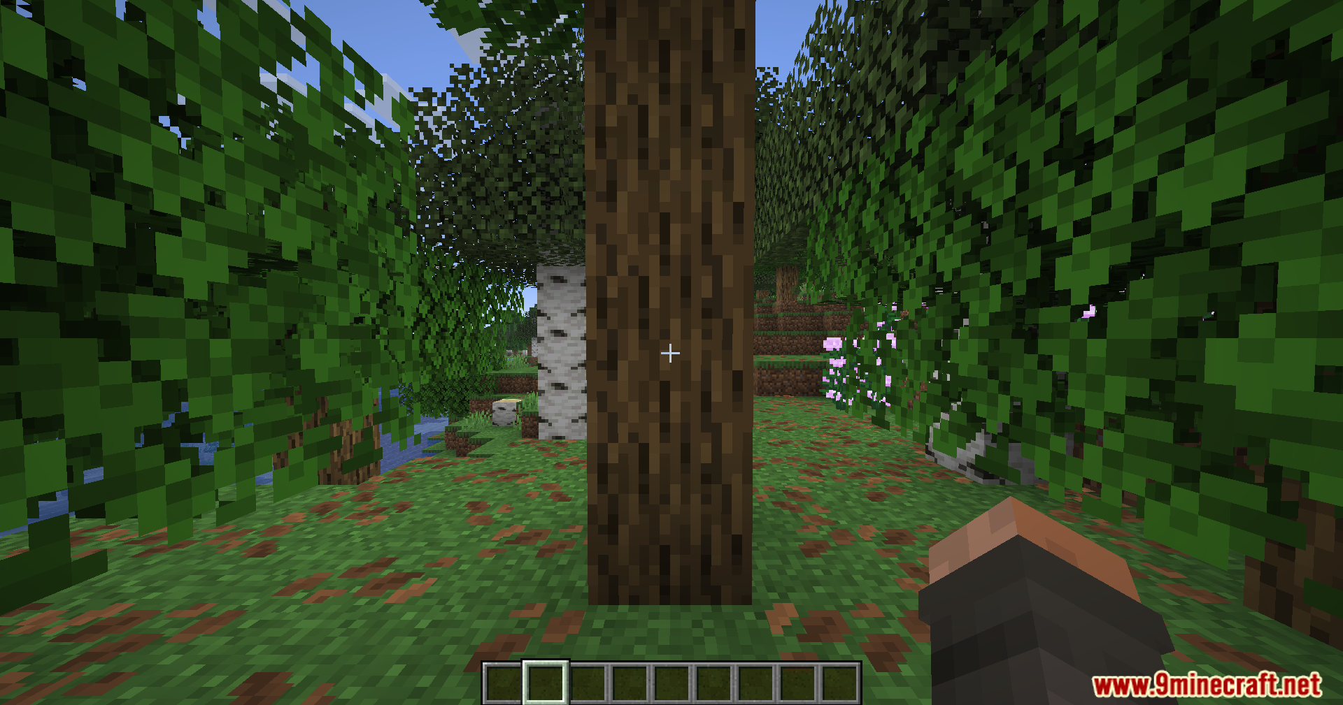 Minecraft player looking at a tree trunk without the black selection outline