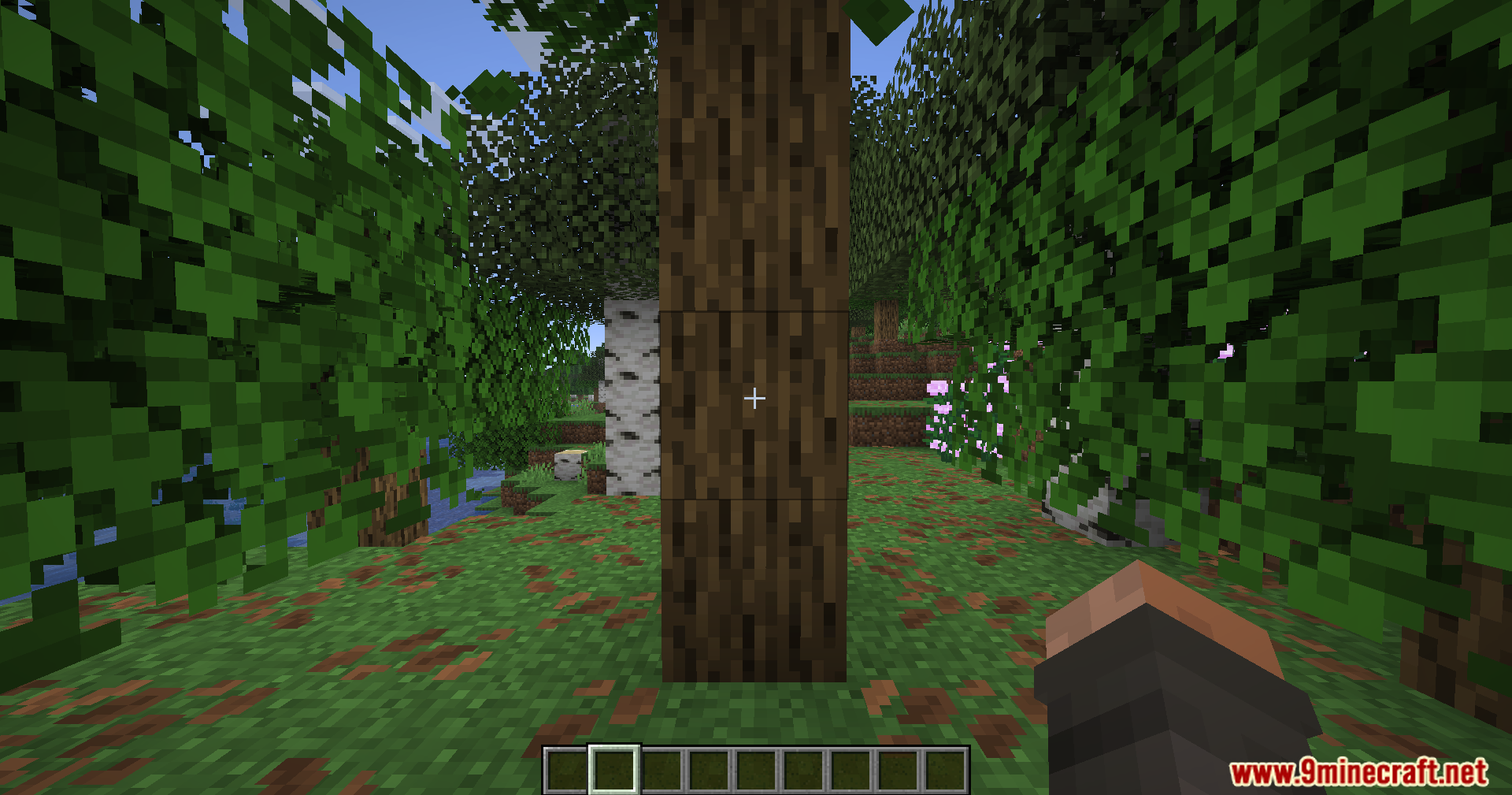 A player looking at an oak log with the block outline hidden