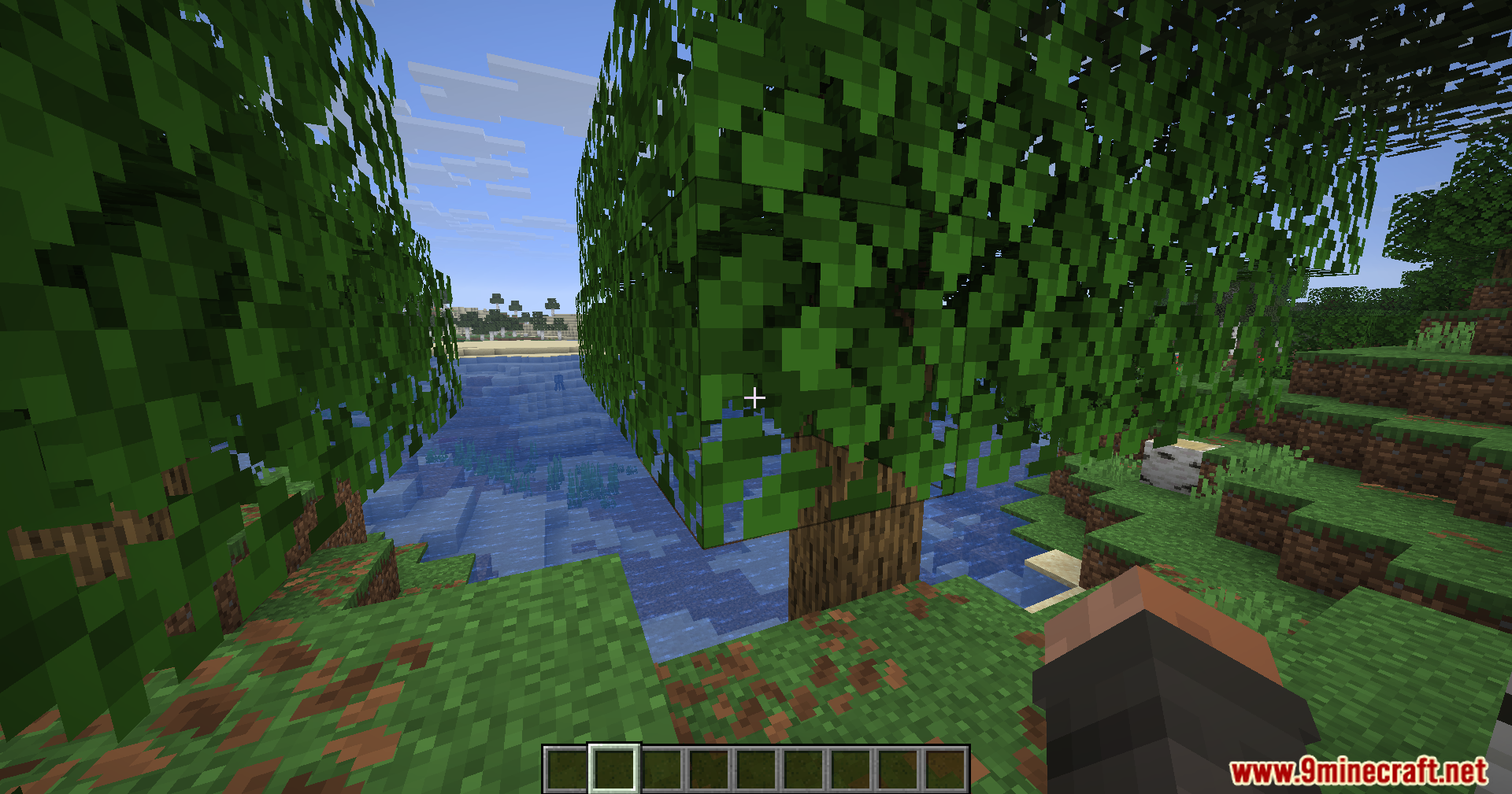 Player viewing tree leaves near water with the block highlight box removed