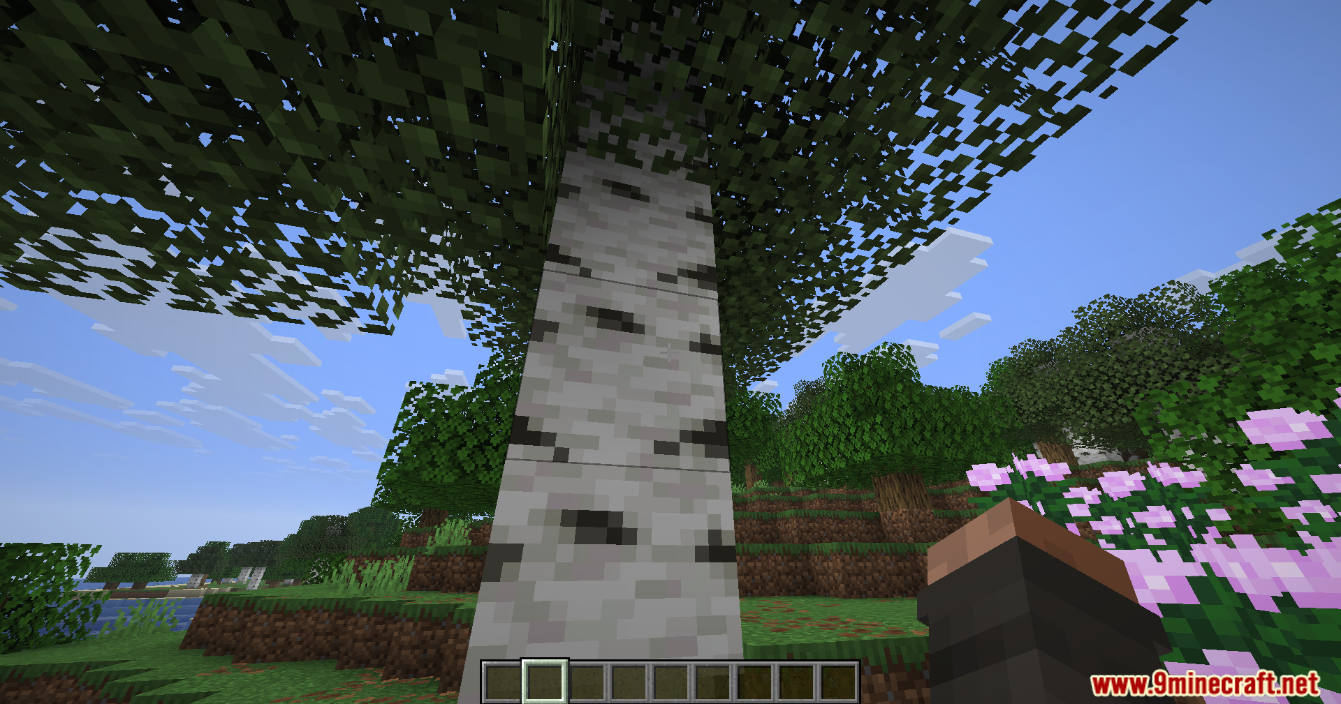 Toggle Highlight Outline Box Mod removes the black selection outline from blocks
