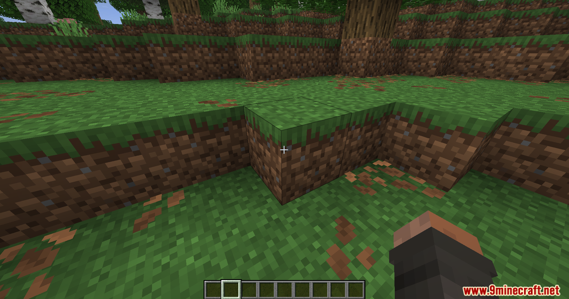 Looking at a grass block with the highlight outline box hidden