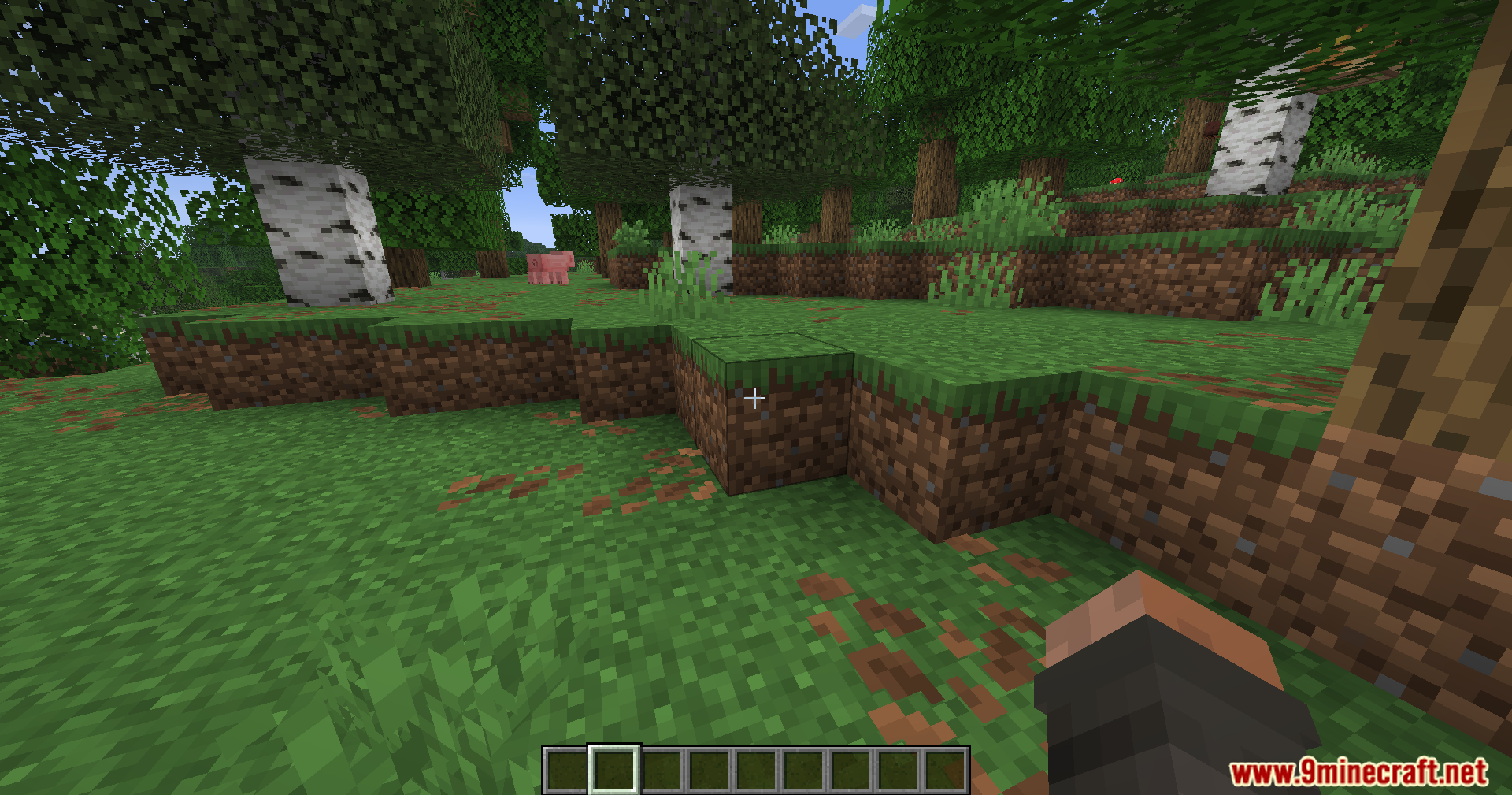A forest landscape showing blocks without any black selection outlines visible