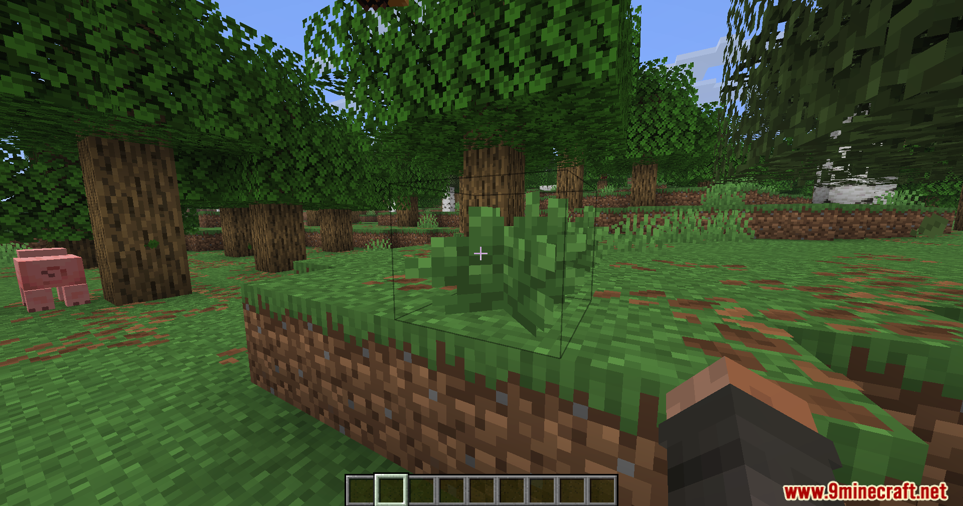 Player looking at a small green bush with a black highlight outline box