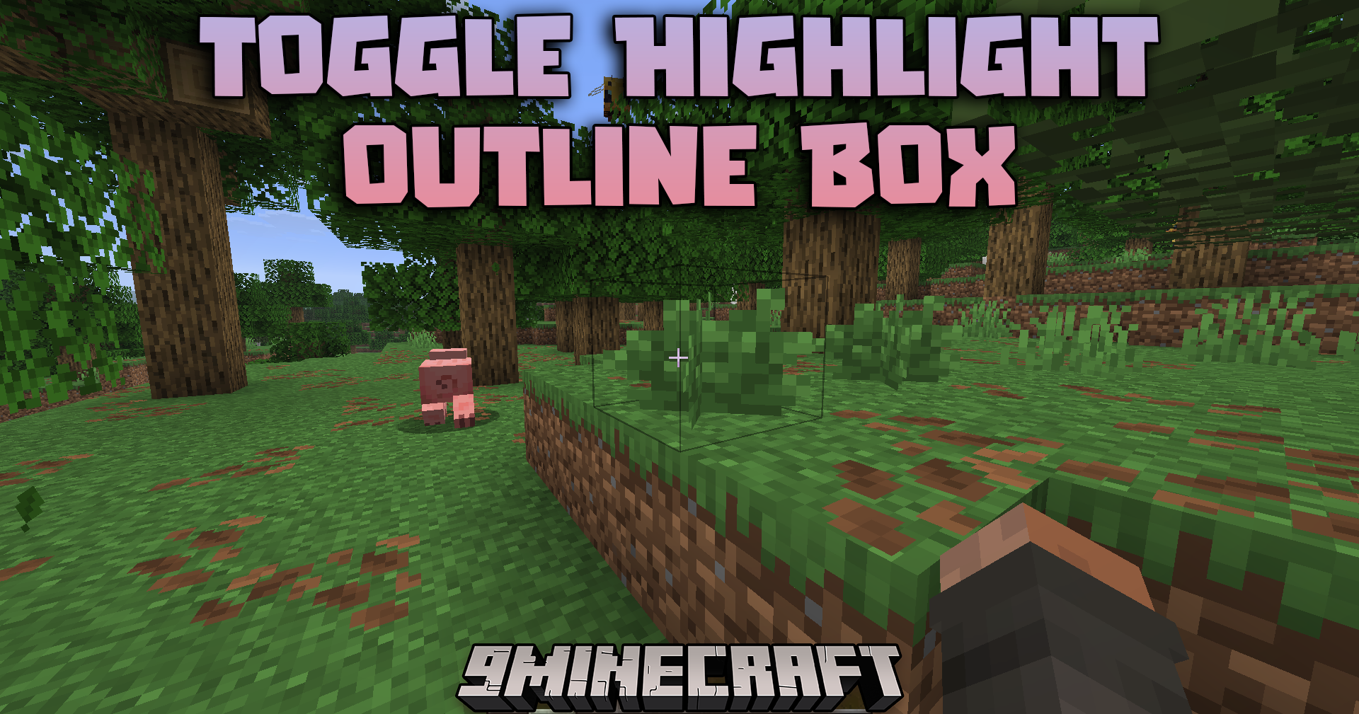 Toggle Highlight Outline Box Mod