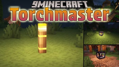 Torchmaster 9minecraft Mod