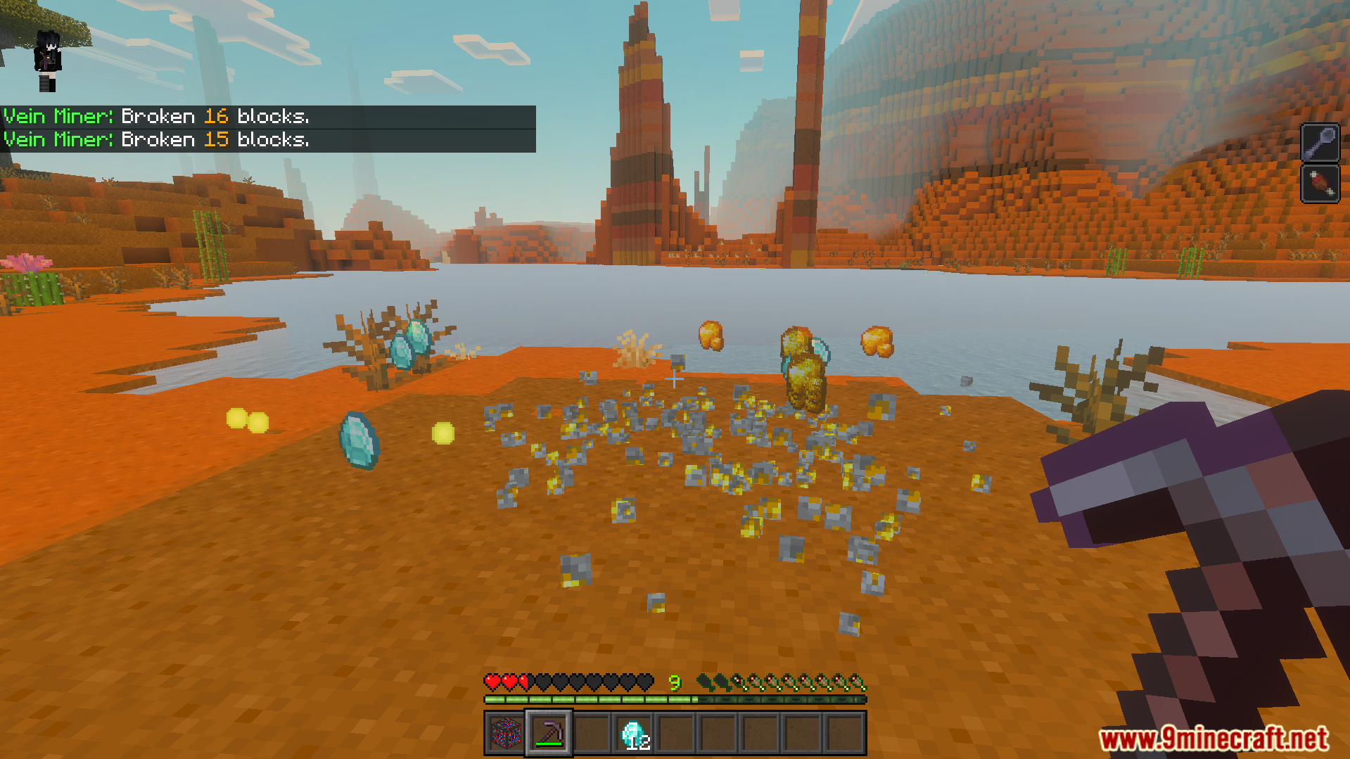 Player collects diamonds and gold after mining connected blocks with the vein miner