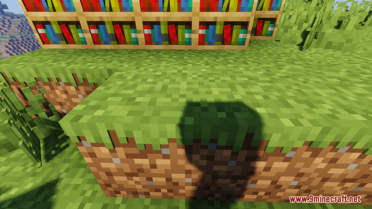 Close up view of 3D grass blocks and bookshelves in a Minecraft world