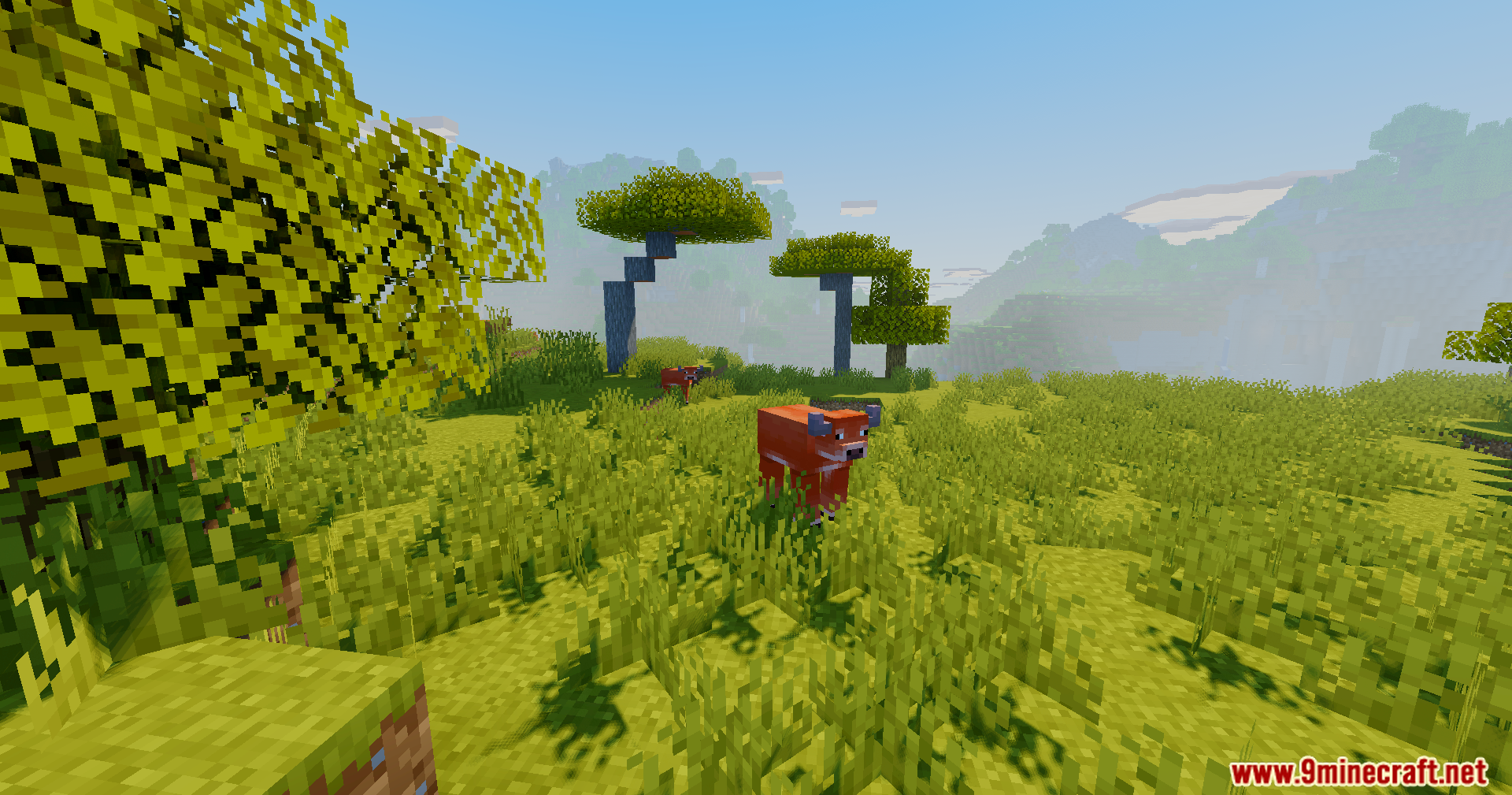Two red cows standing in a bright Minecraft savanna field with blocky clouds
