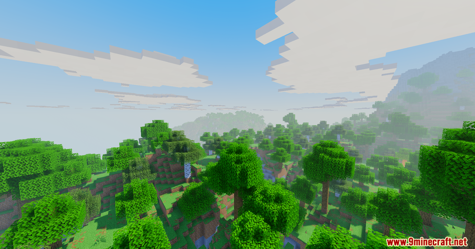 Dense forest of oak trees under a bright blue sky with blocky white clouds