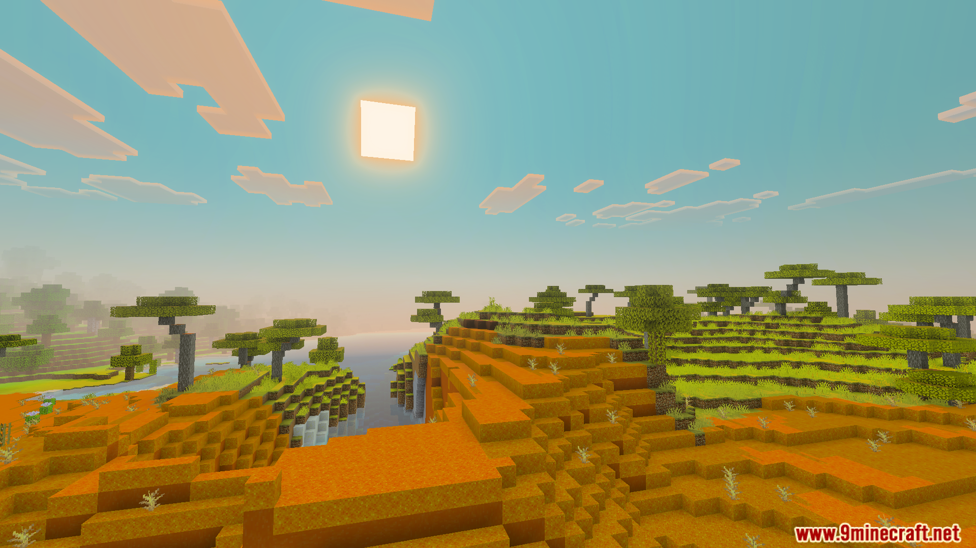 Vibrant Visual Shader enhances the savanna world with bright and lively colors
