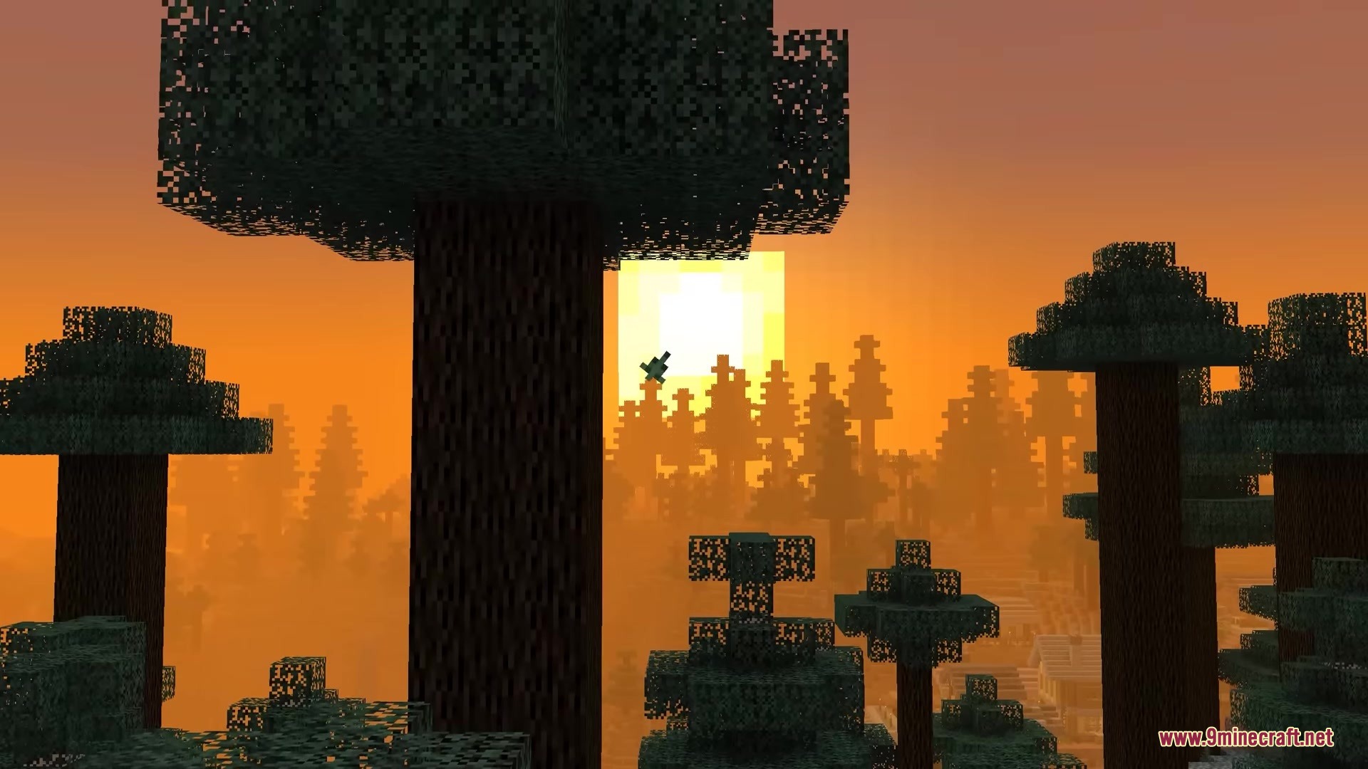 Vintage Resource Pack Screenshot 4 A beautiful sunset view through tall trees in a dense forest