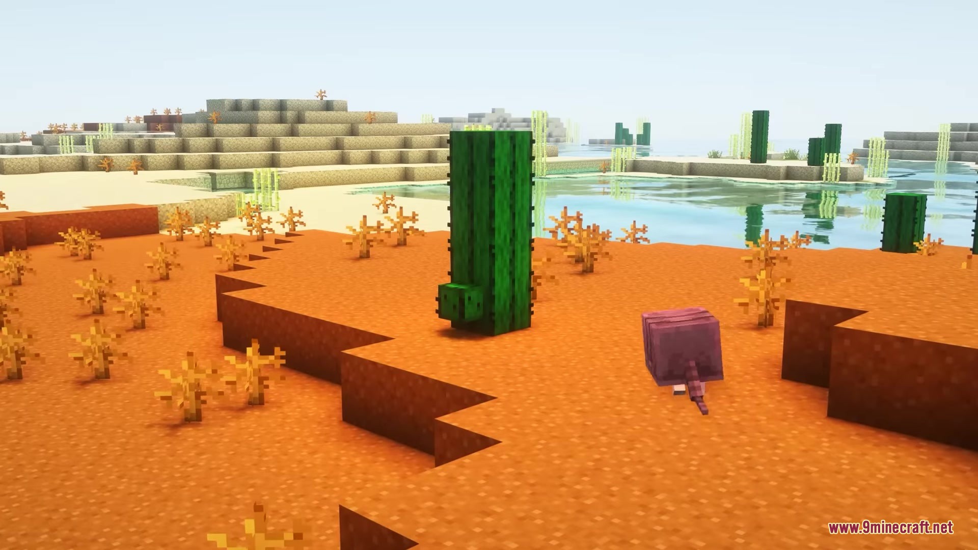 Vintage Resource Pack Screenshot 7 A tall cactus with a face and a purple mob in the desert