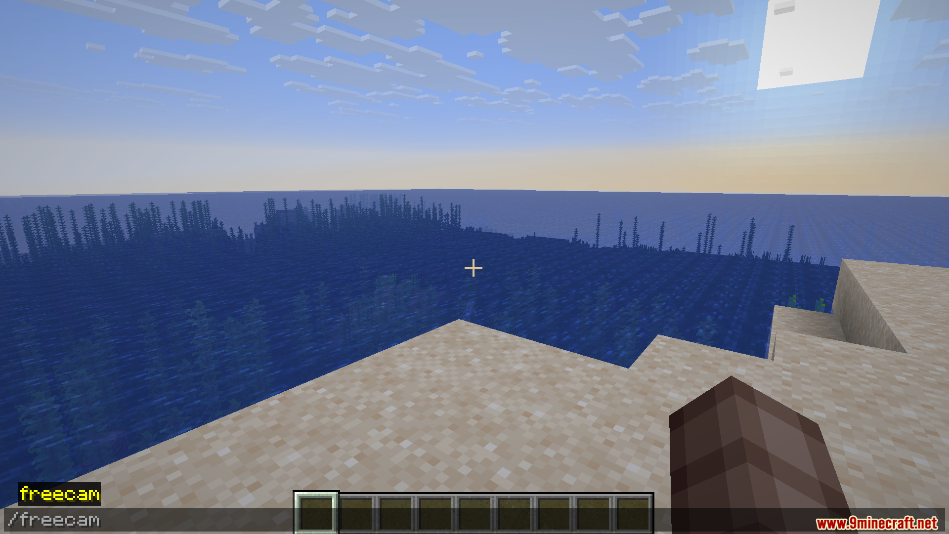 Player uses a command to activate freecam mode overlooking a vast ocean