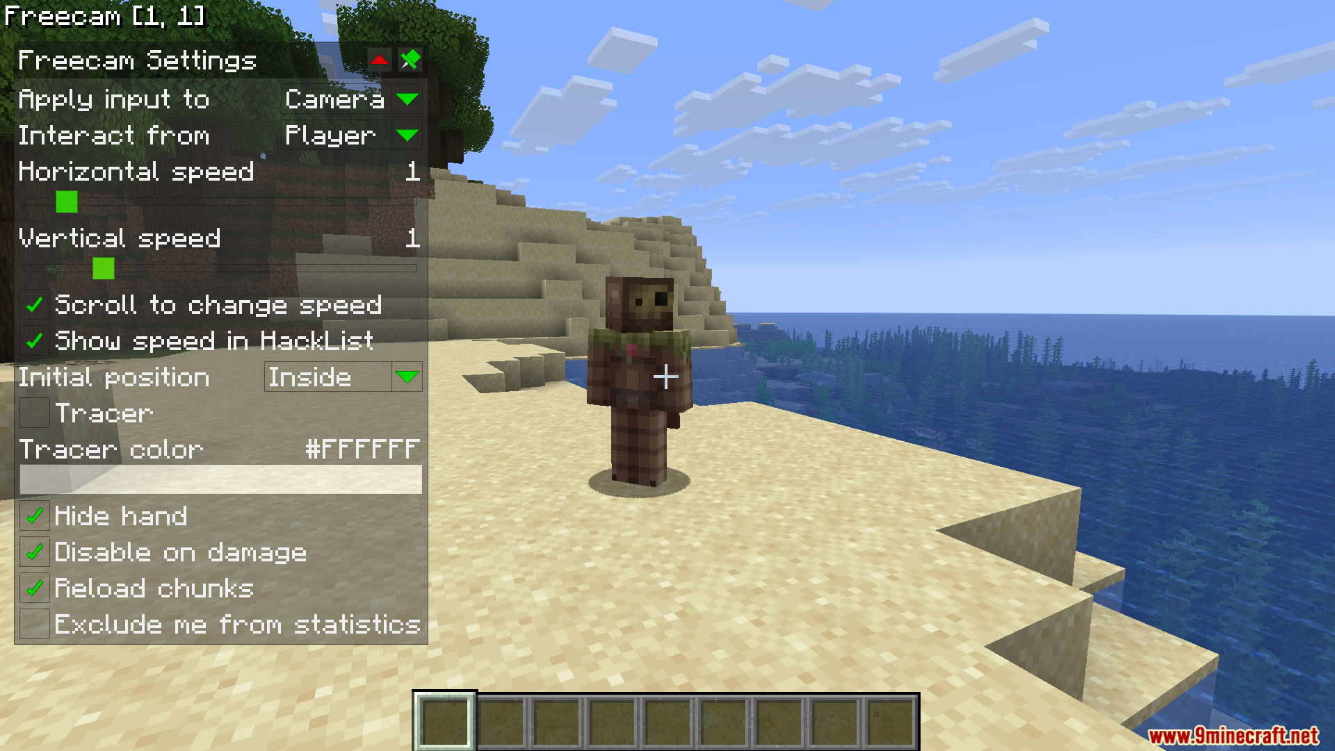 Player character on a beach with the free camera settings menu displayed