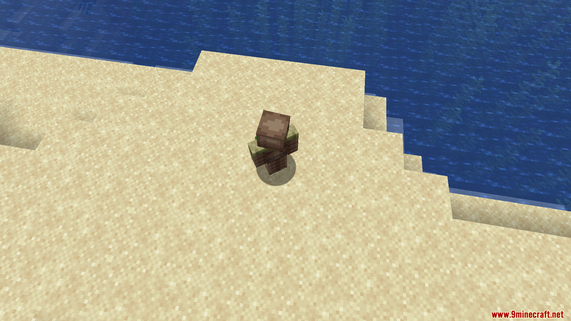 A top down perspective of the player character standing near the ocean water