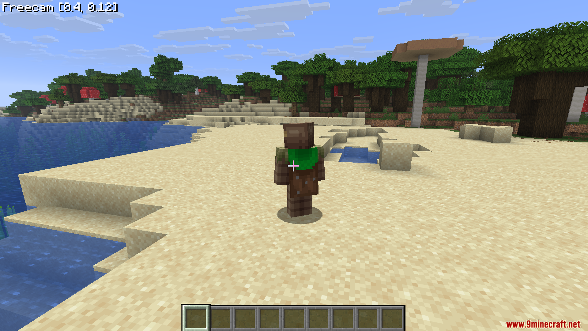 A player character standing on a beach while using the freecam feature