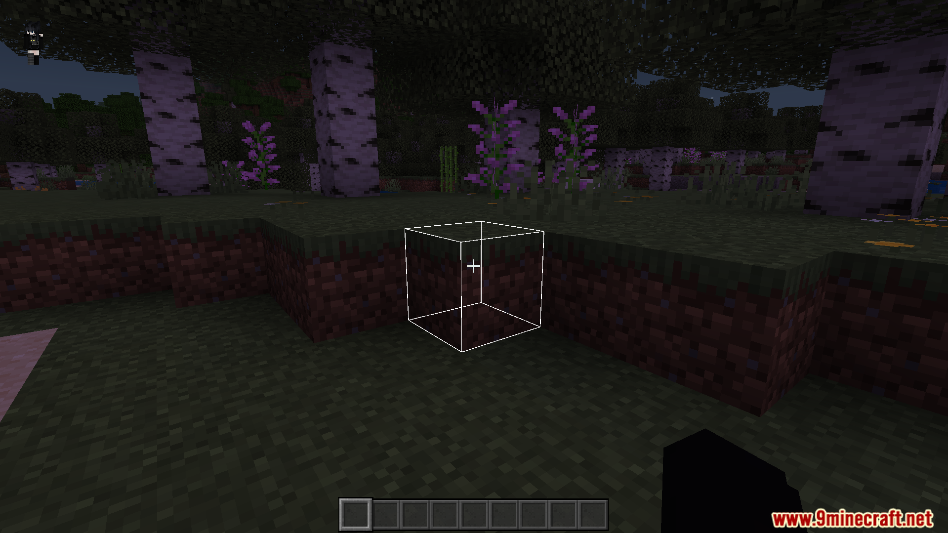 White 3D Outline Texture Pack Screenshot 1 White 3D Outline Texture Pack adds glowing edges to blocks in the forest