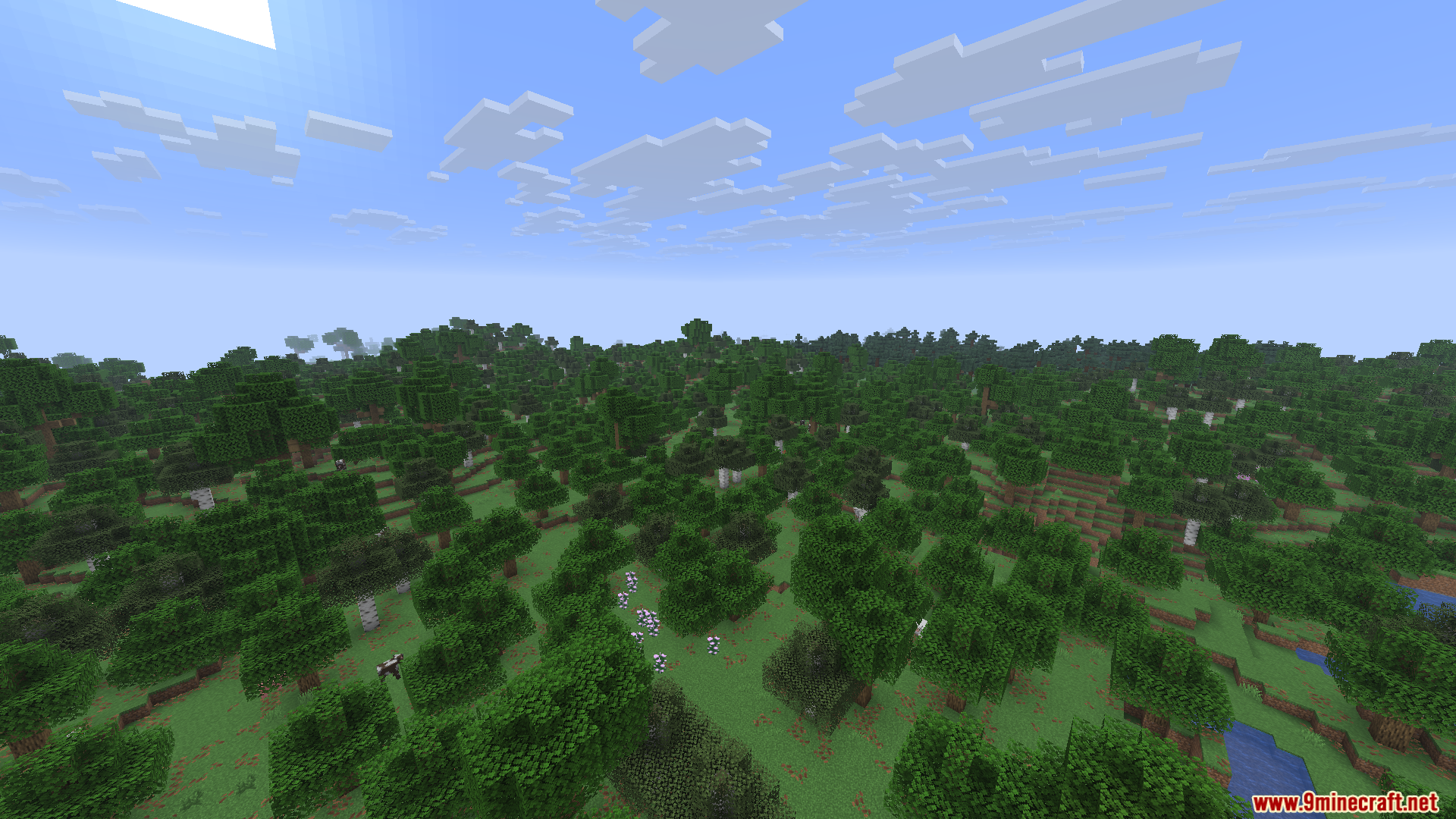 Wither Death Sounds Mod Screenshot 9 A scenic view of a lush forest biome with oak and birch trees