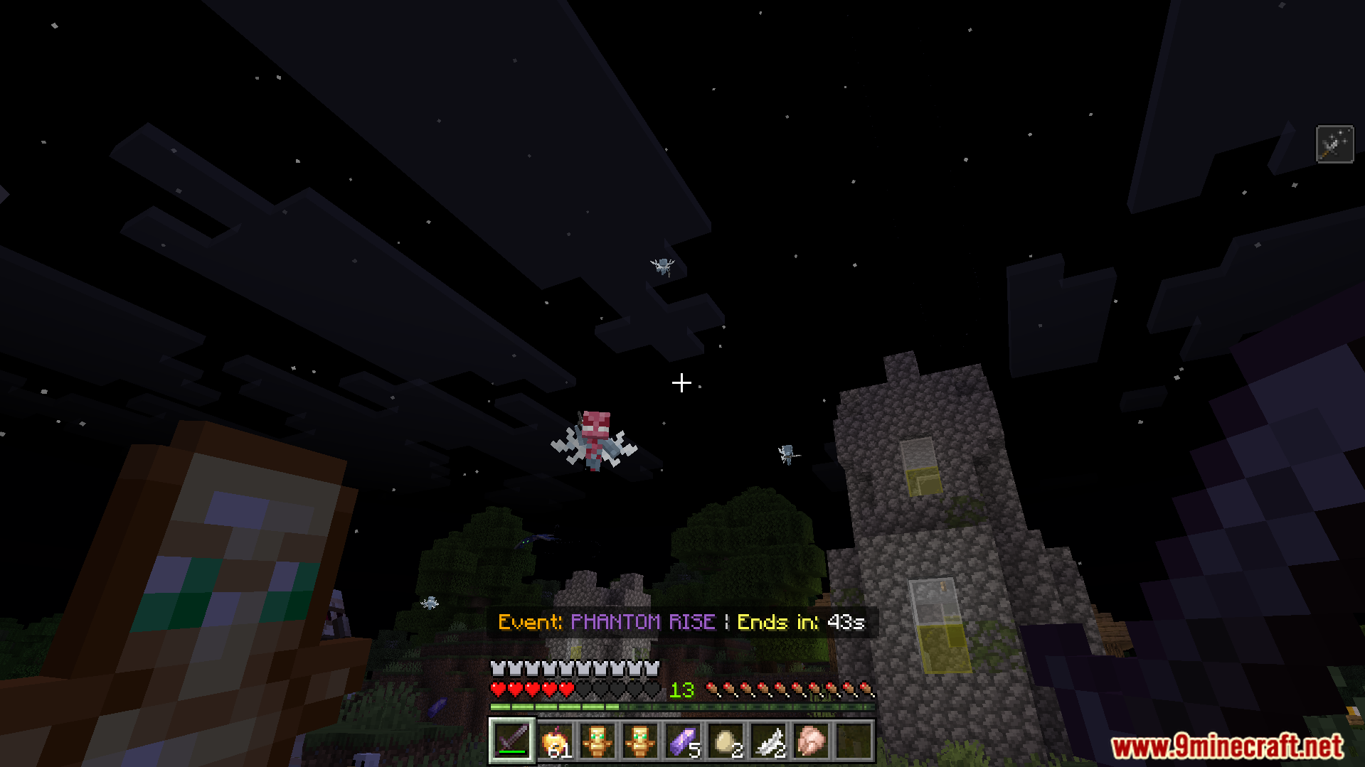A player holding a totem of undying during a phantom rise event