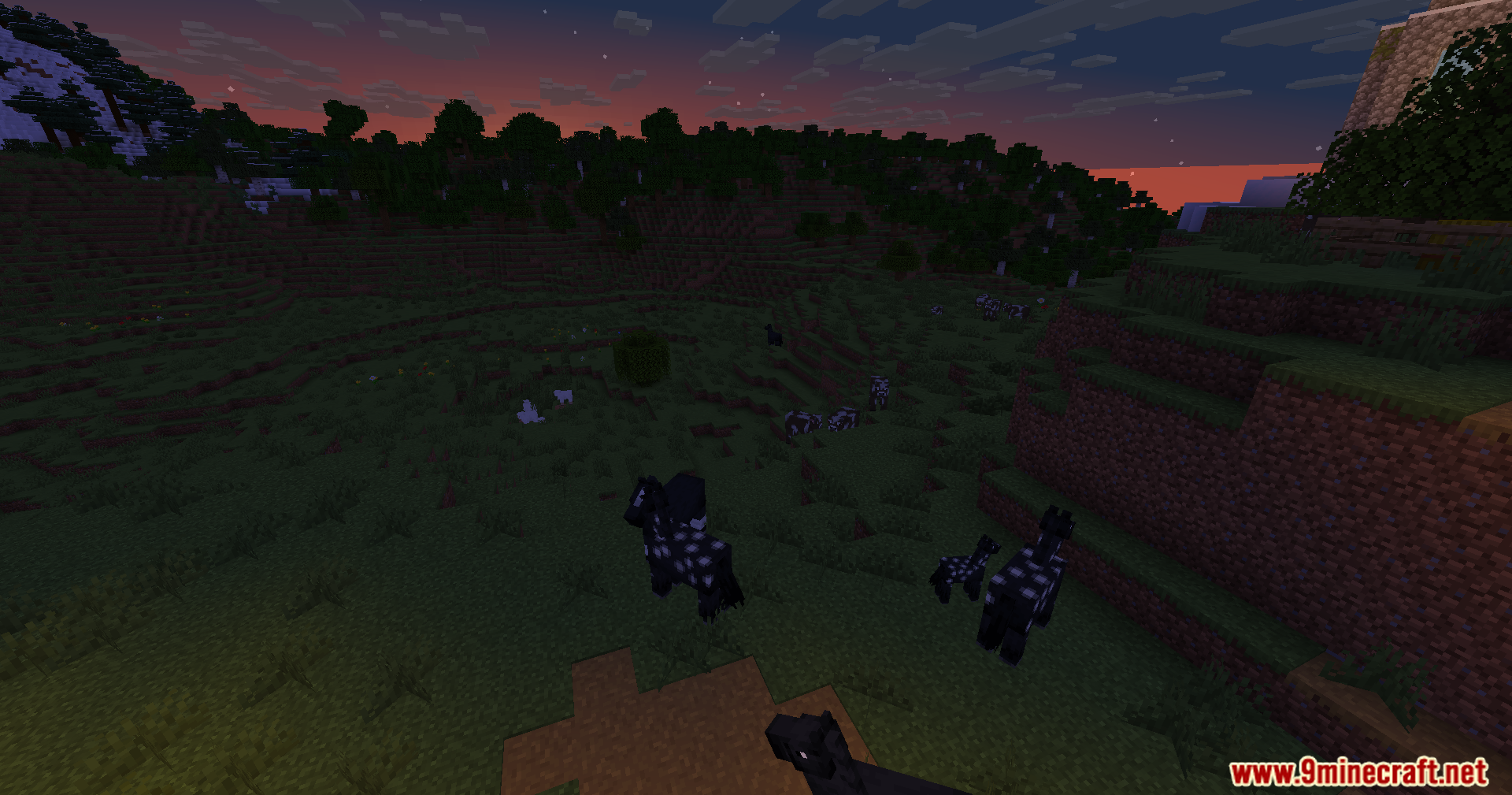Wozt Vanilla Plus Shaders Screenshot 10 Black spotted horses standing in a grassy field during the late evening