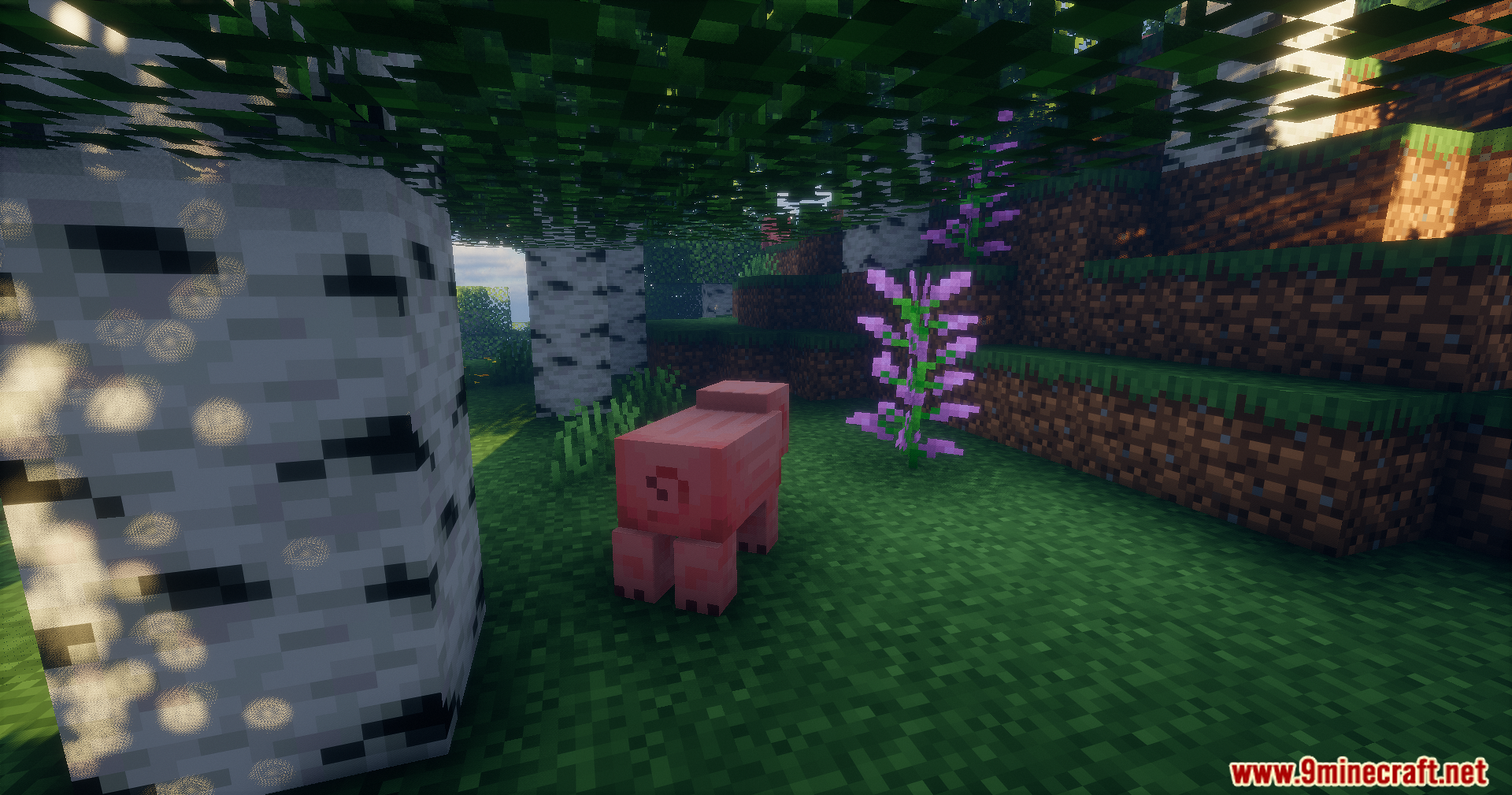 A pink pig stands near purple flowers in a birch forest with shaders