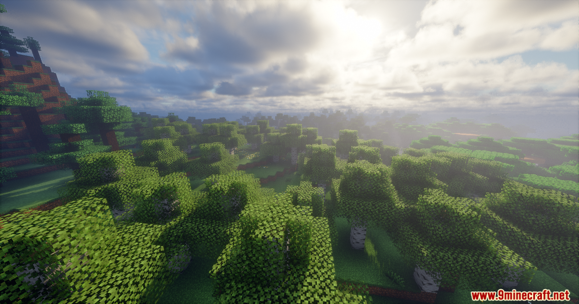 Apex Shaders features volumetric light rays and soft fog in a dense forest