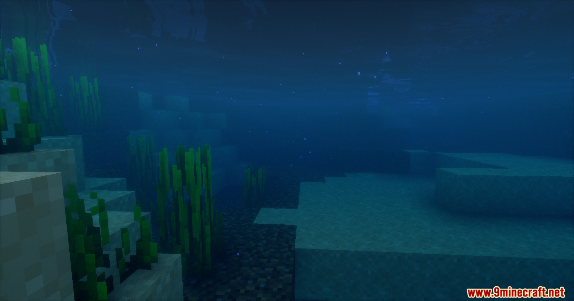 Deep blue water covering green seagrass and blocky terrain in the ocean