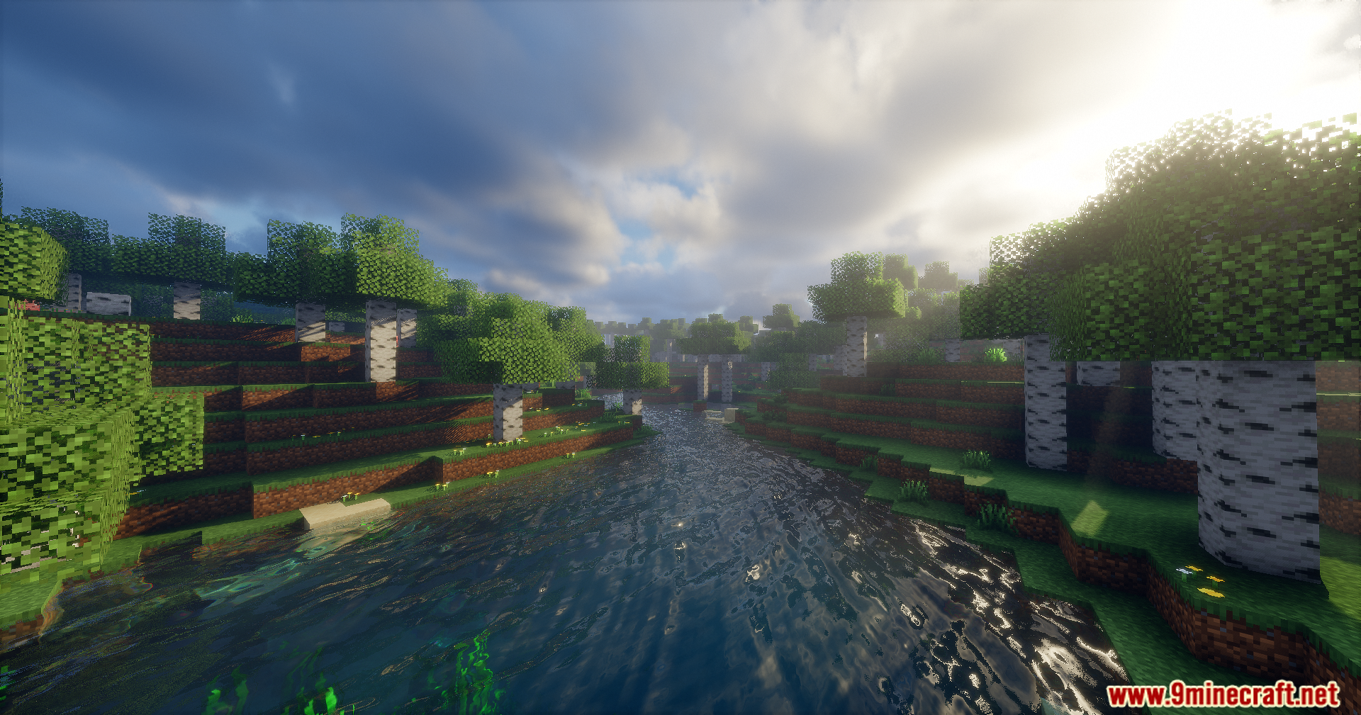 Sunlight rays shining over a river flowing through a dense birch forest