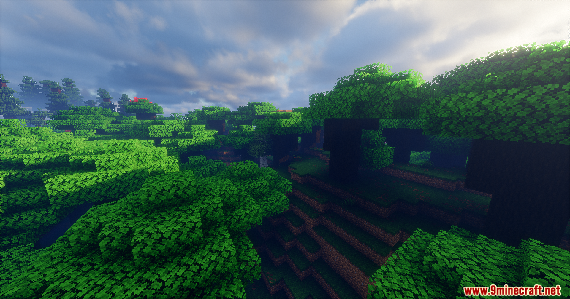 Apex Shaders creates realistic lighting in a dense green forest