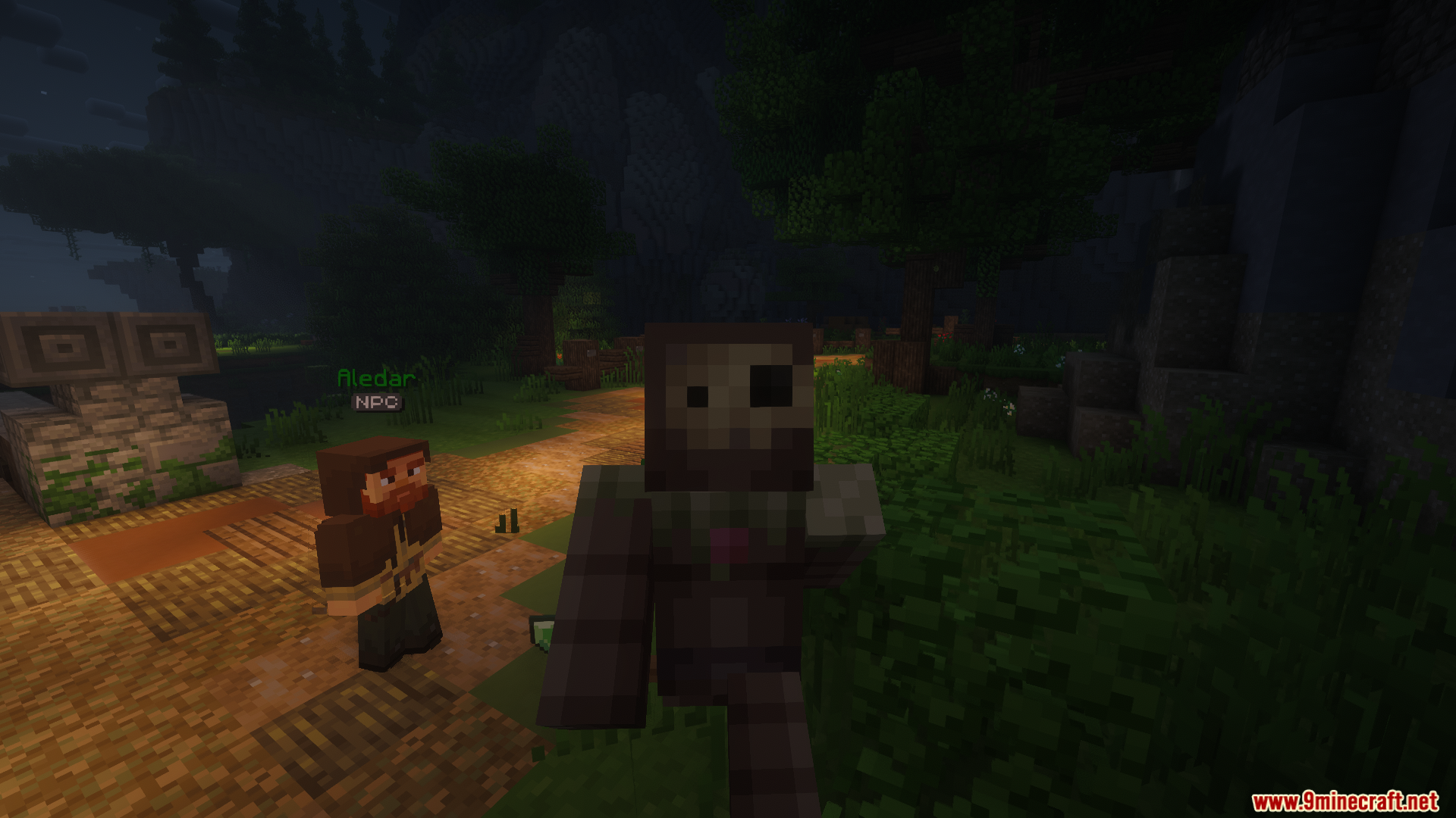 A player character standing near NPC Aledar on a dark forest path