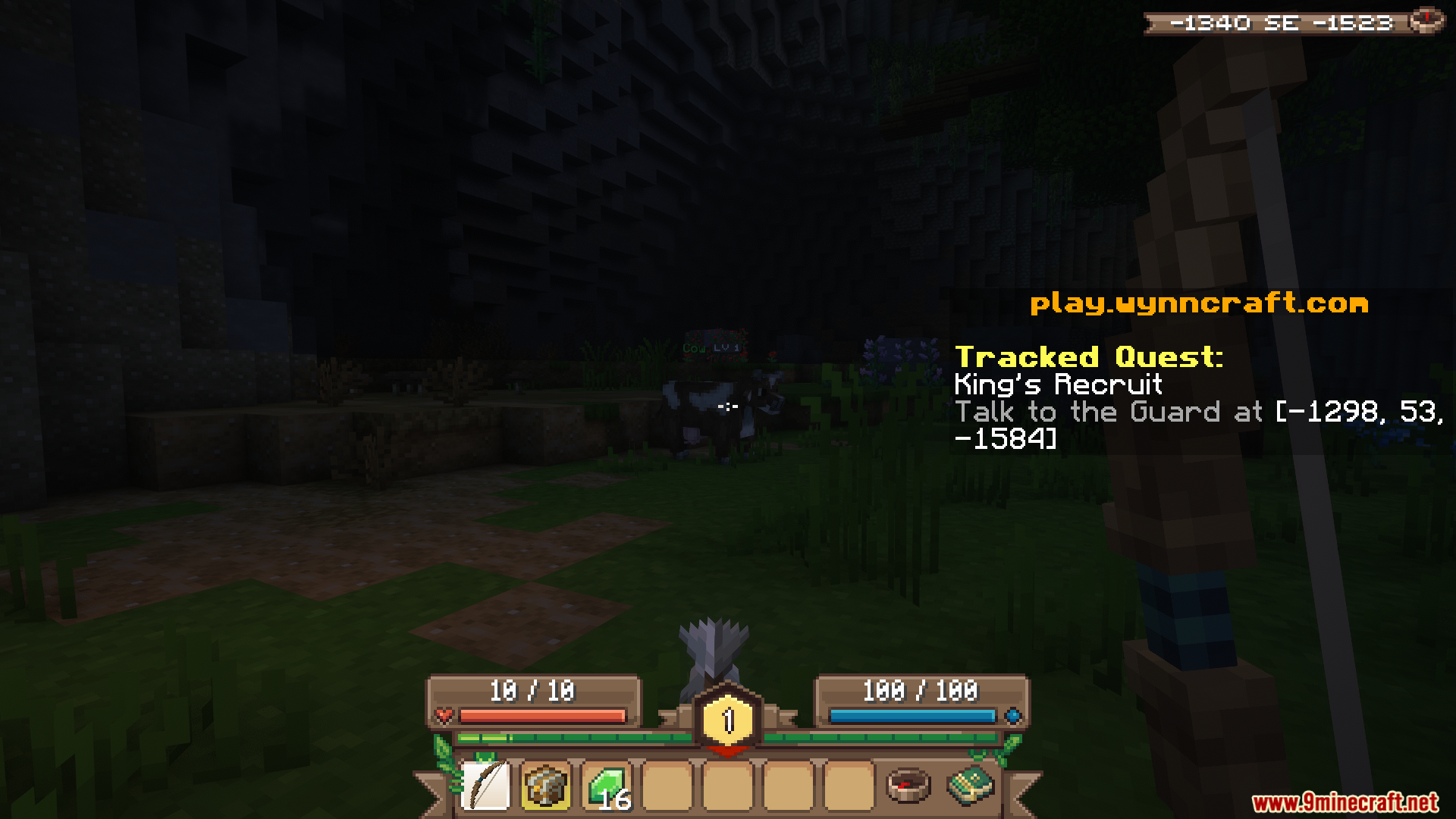 WynnIris Mod improves visual effects and HUD on the Wynncraft server