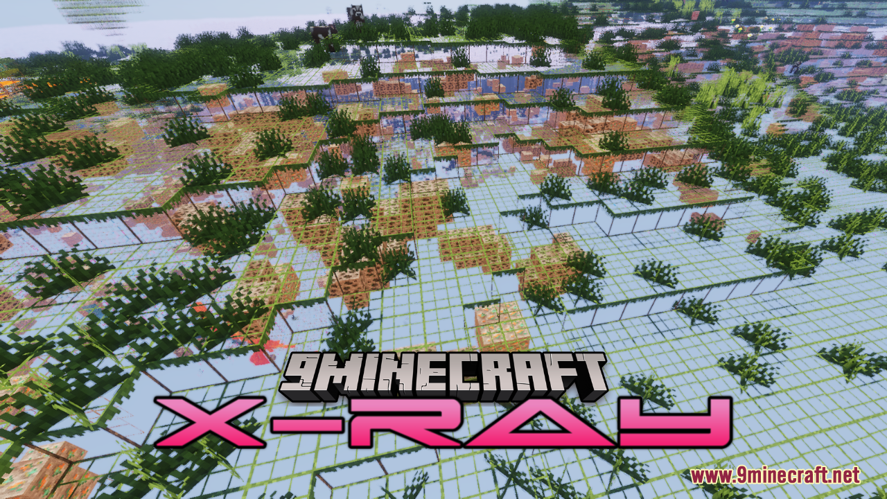 X-Ray Resource Pack