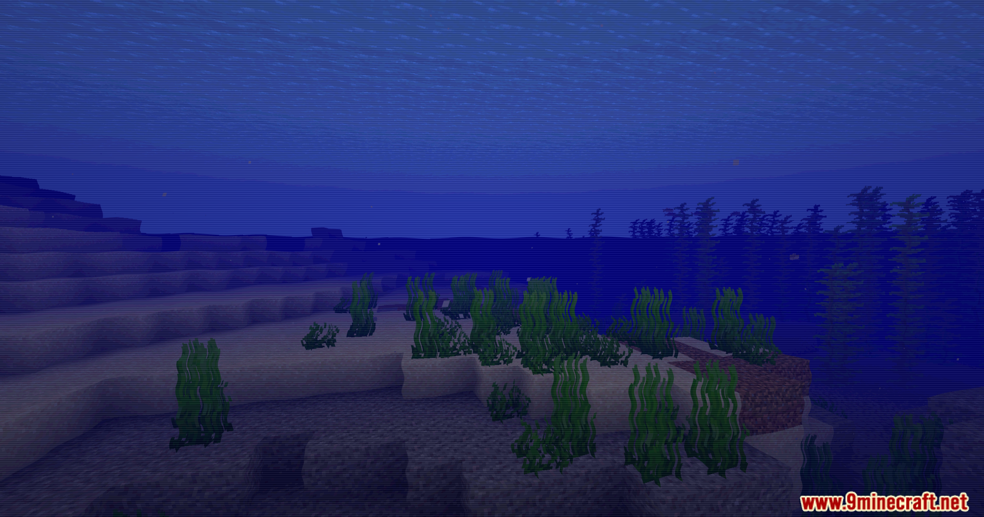 Underwater seagrass and sand with retro CRT scanline shader effects