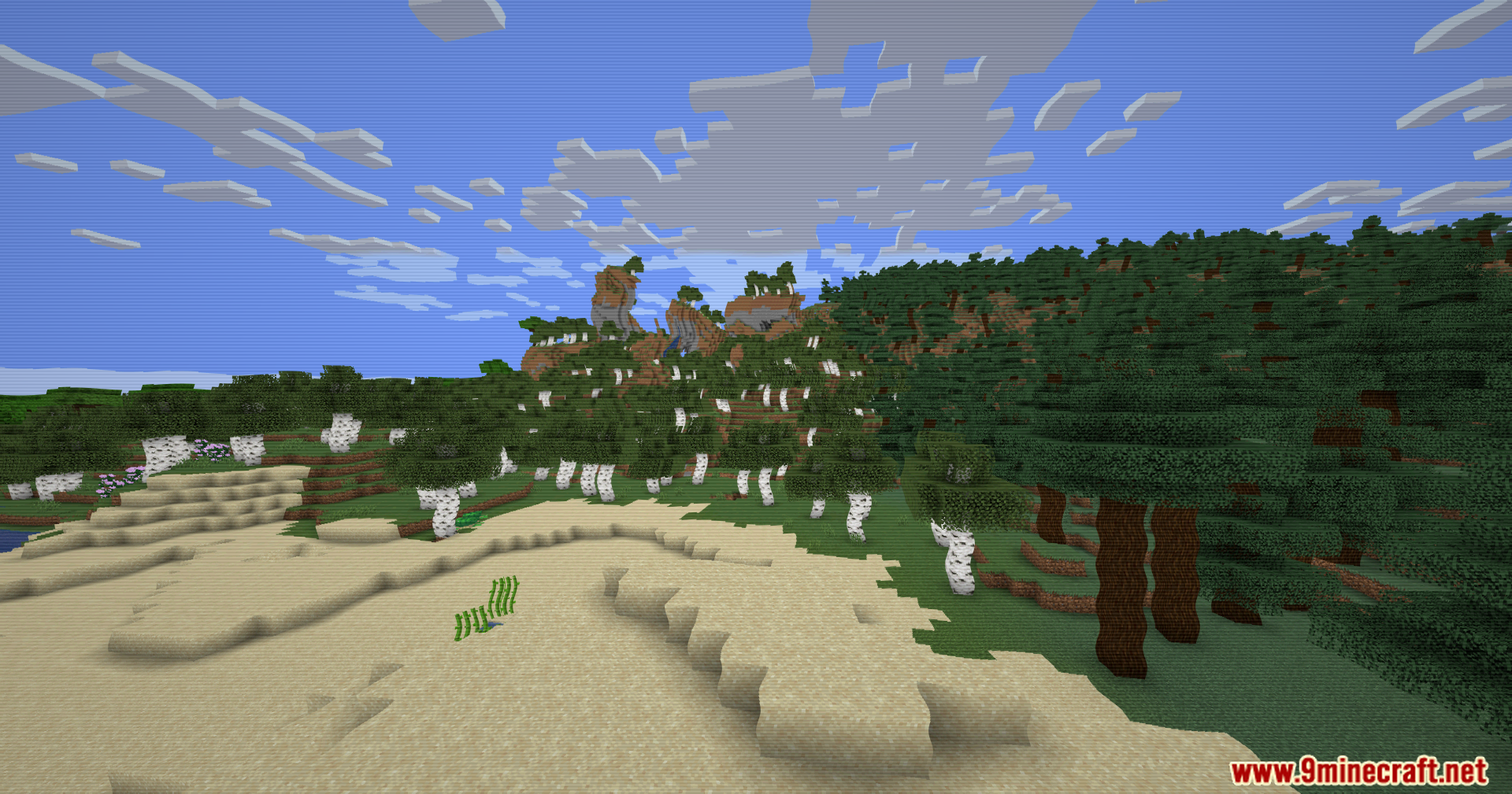 A sandy Minecraft beach with birch trees and vintage camcorder video distortion