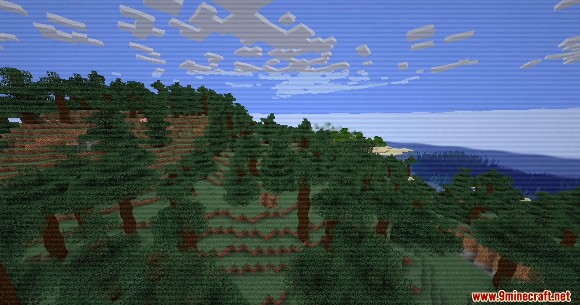 ZigCRT Shaders creates a retro television look for a spruce forest landscape