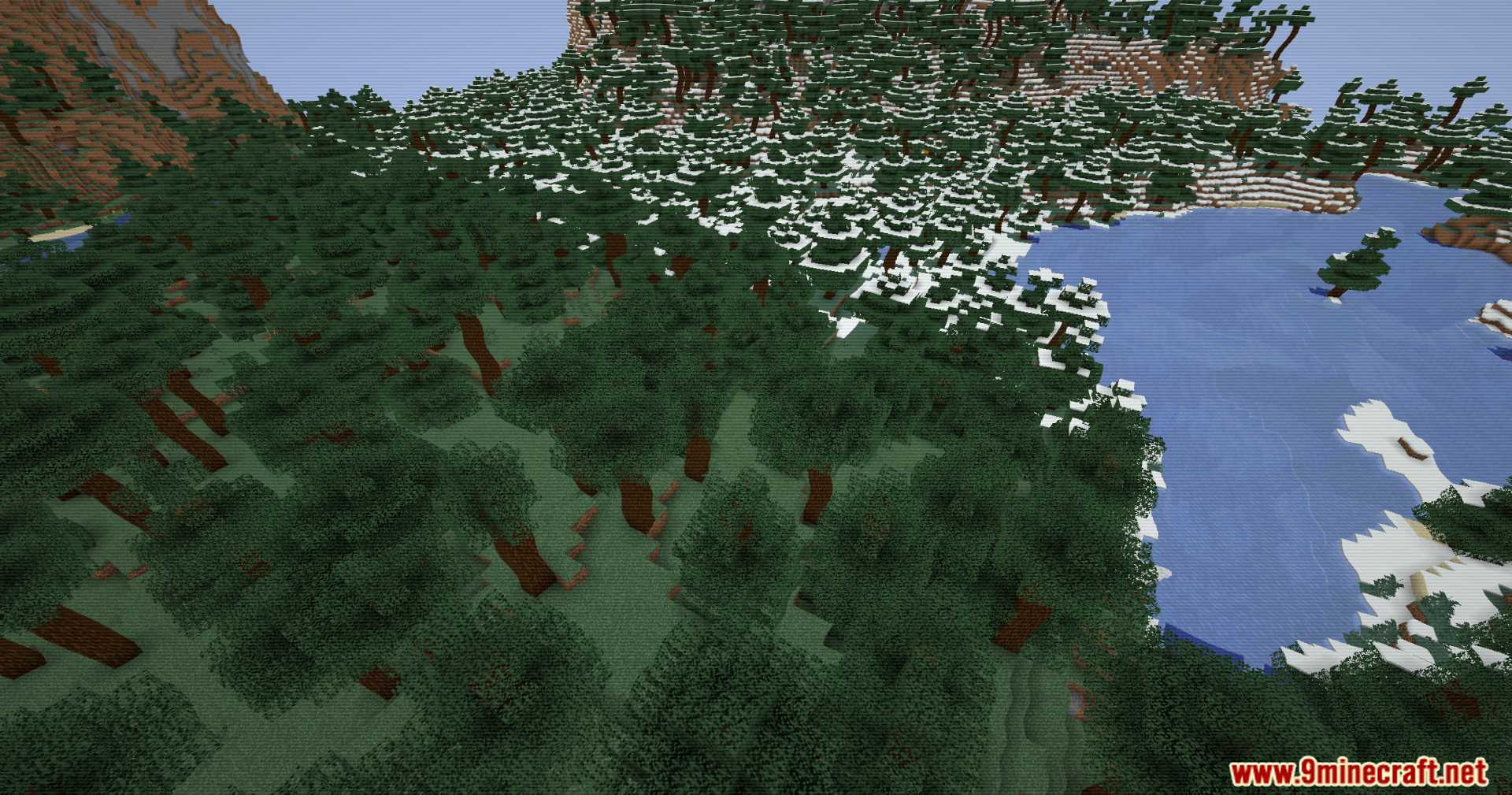 Aerial view of a snowy spruce forest next to a frozen lake