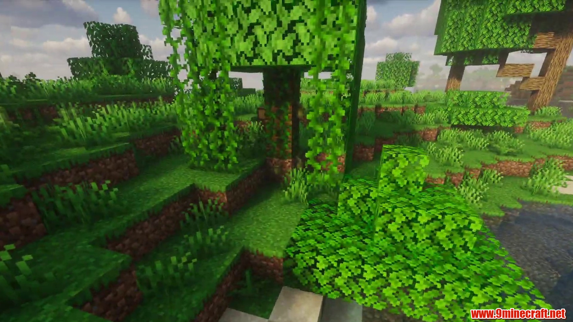Large Island Seed in Minecraft seed 747620733868995600